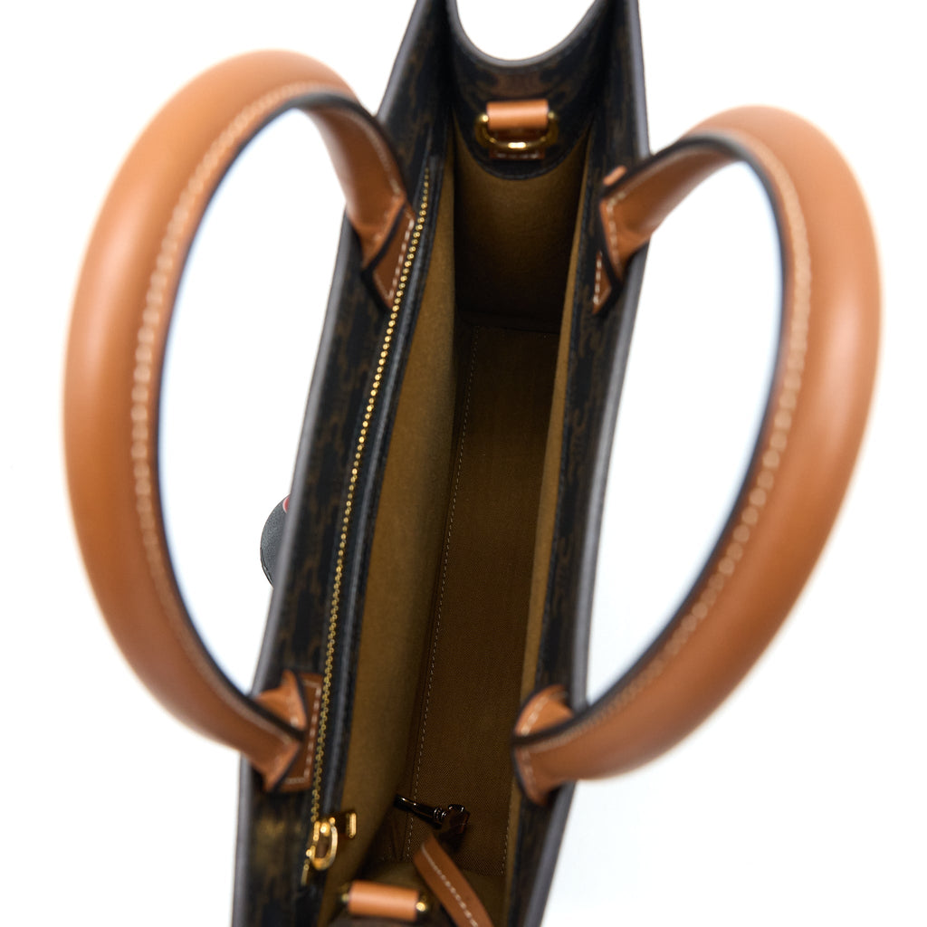 celine-vertical-cabas-triomphe-canvas-ghw-1