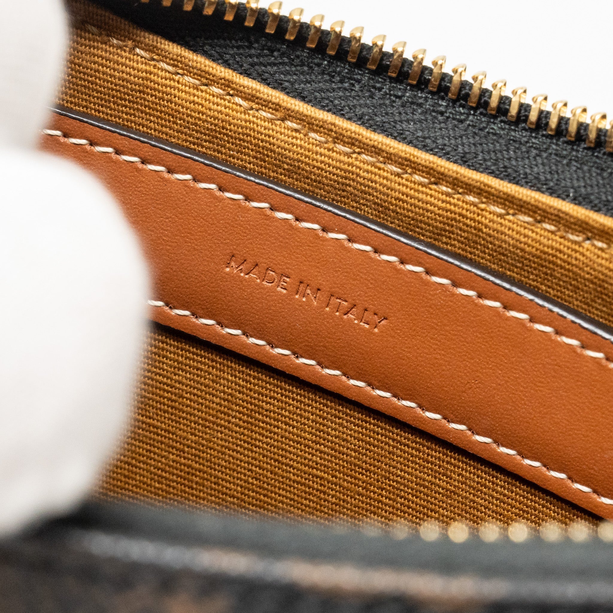 celine-ava-bag-triomphe-canvas-tan-ghw-1