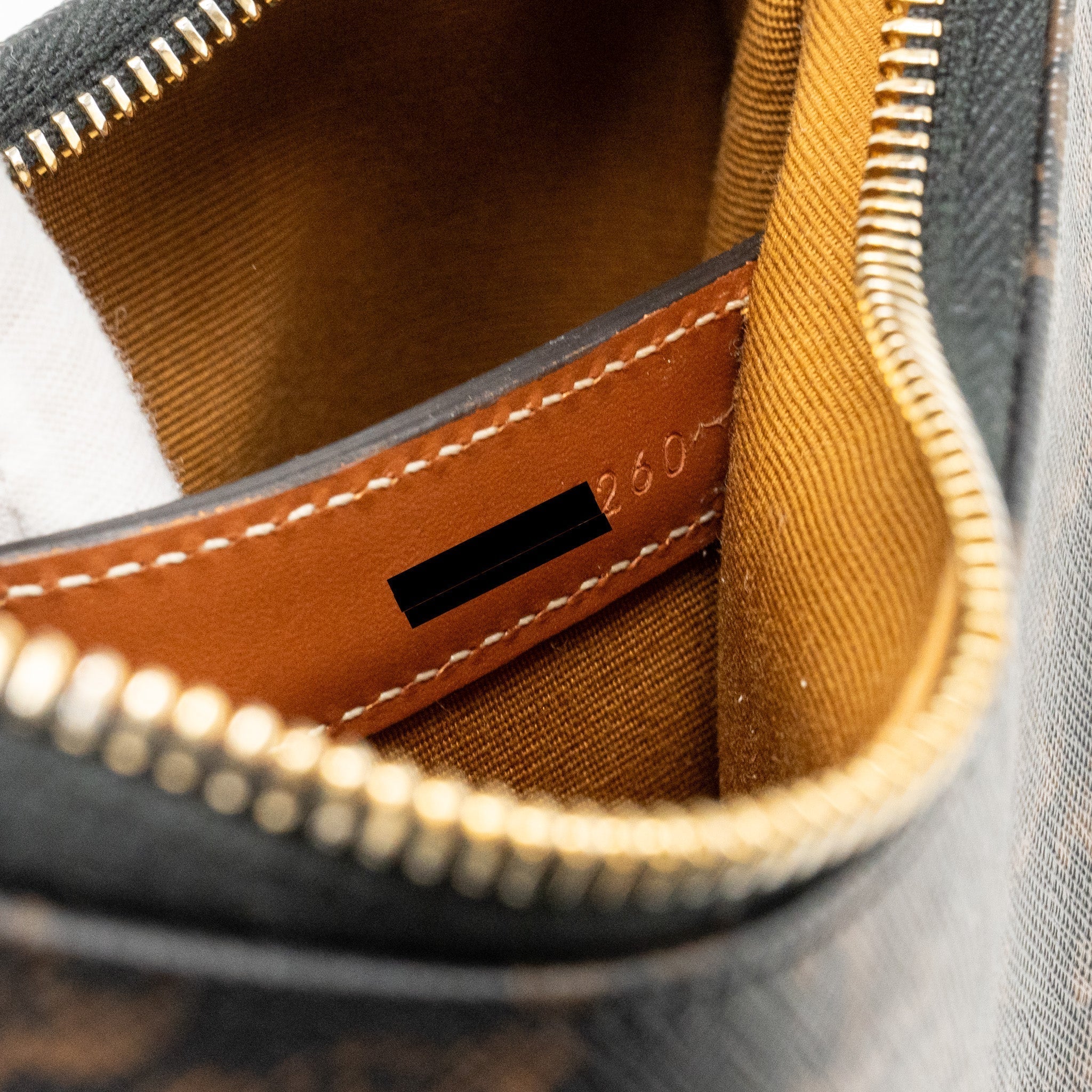 celine-ava-bag-triomphe-canvas-tan-ghw-1