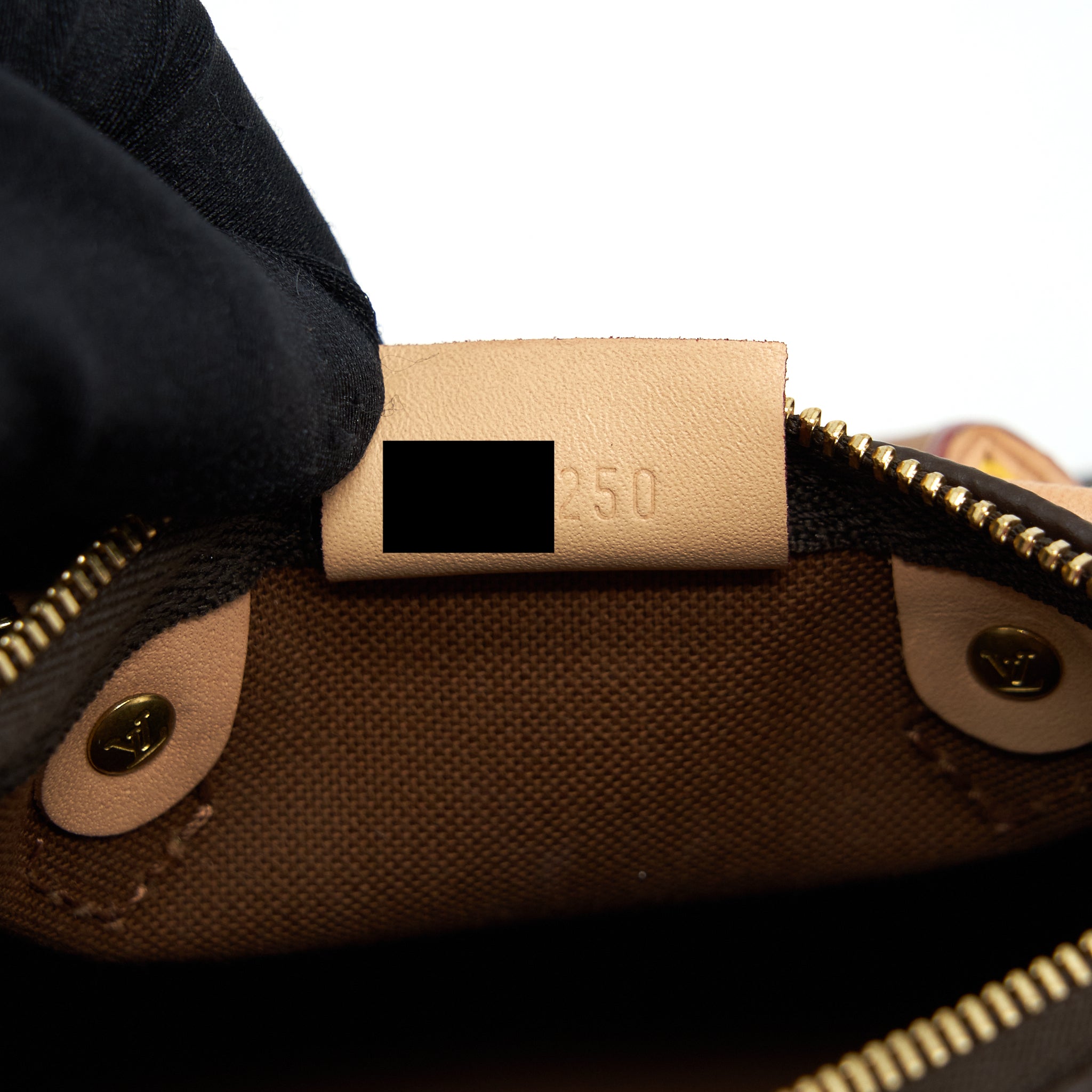 louis-vuitton-nano-speedy-monogram-canvas-ghw-1