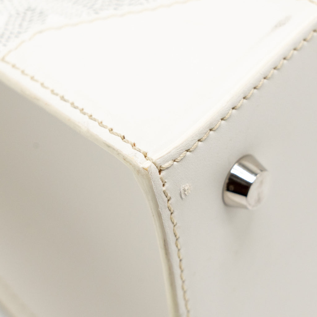 goyard-structured-saigon-pm-calfskin-canvas-white-shw-copy-1