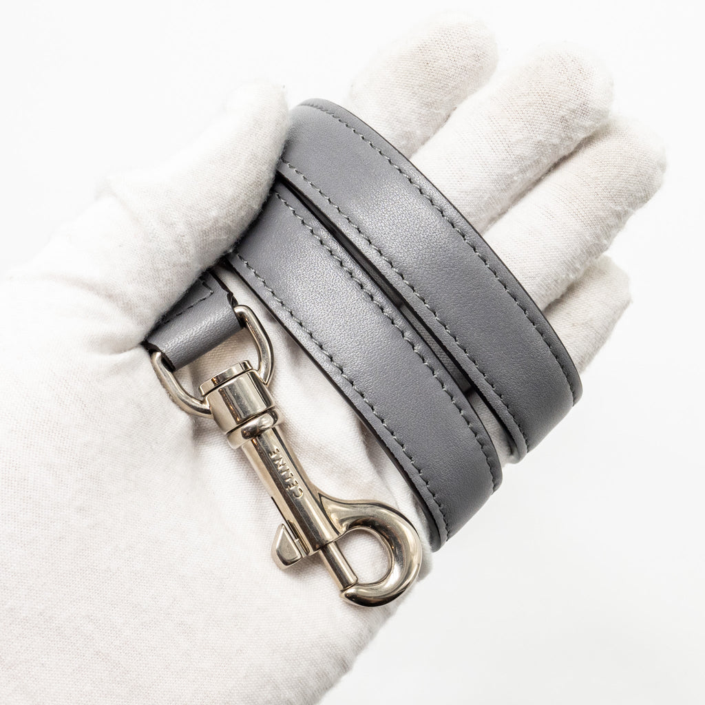 celine-micro-belt-bag-calfskin-grey-shw-copy