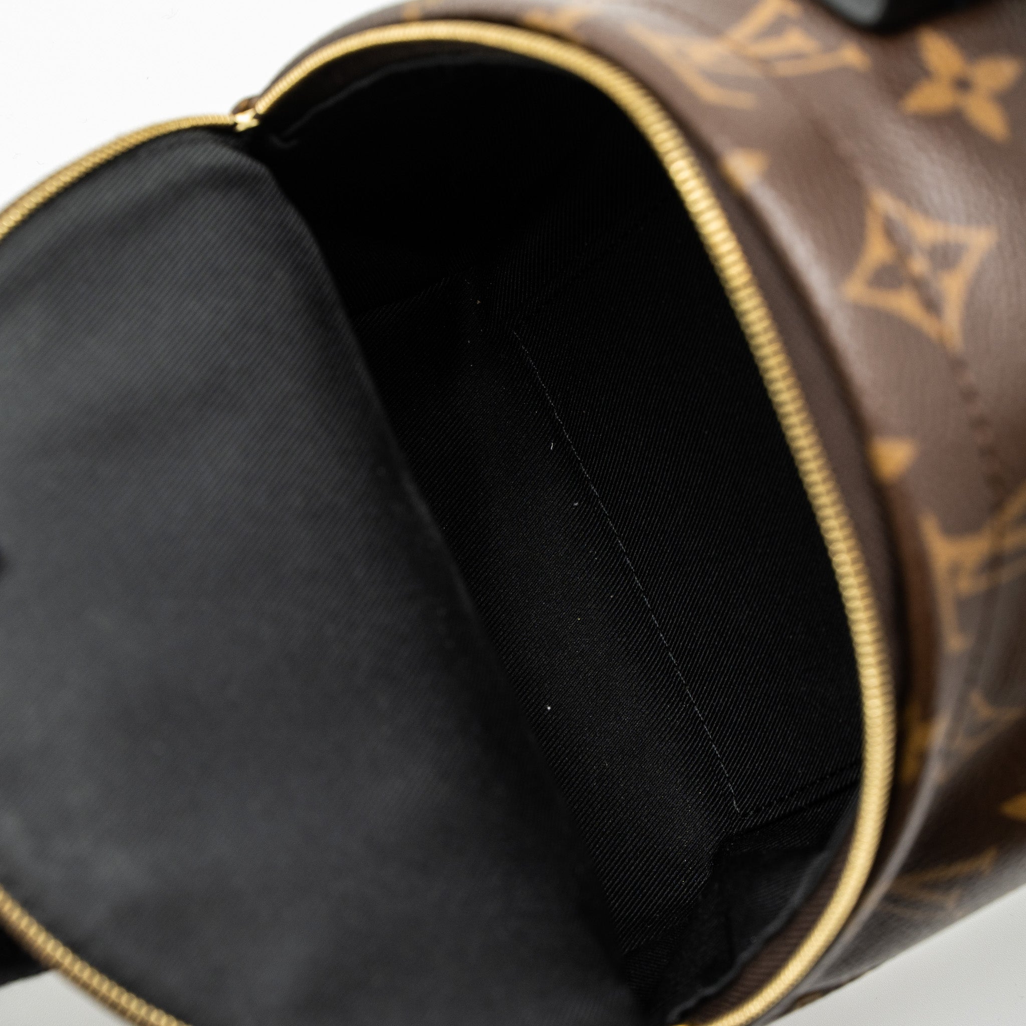 louis-vuitton-mini-palm-spring-backpack-monogram-canvas-ghw-new-version