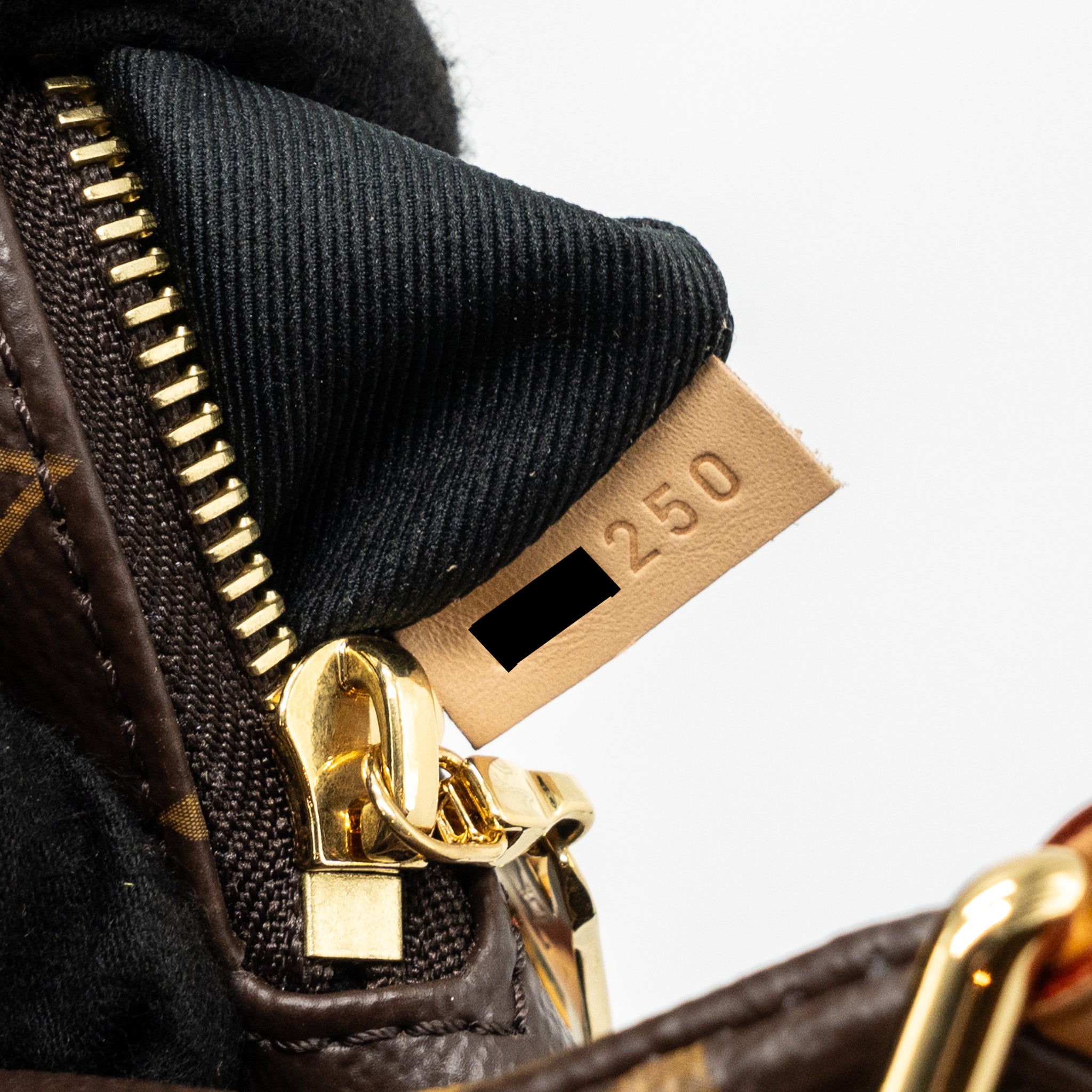 louis-vuitton-bumbag-monogram-canvas-ghw-1