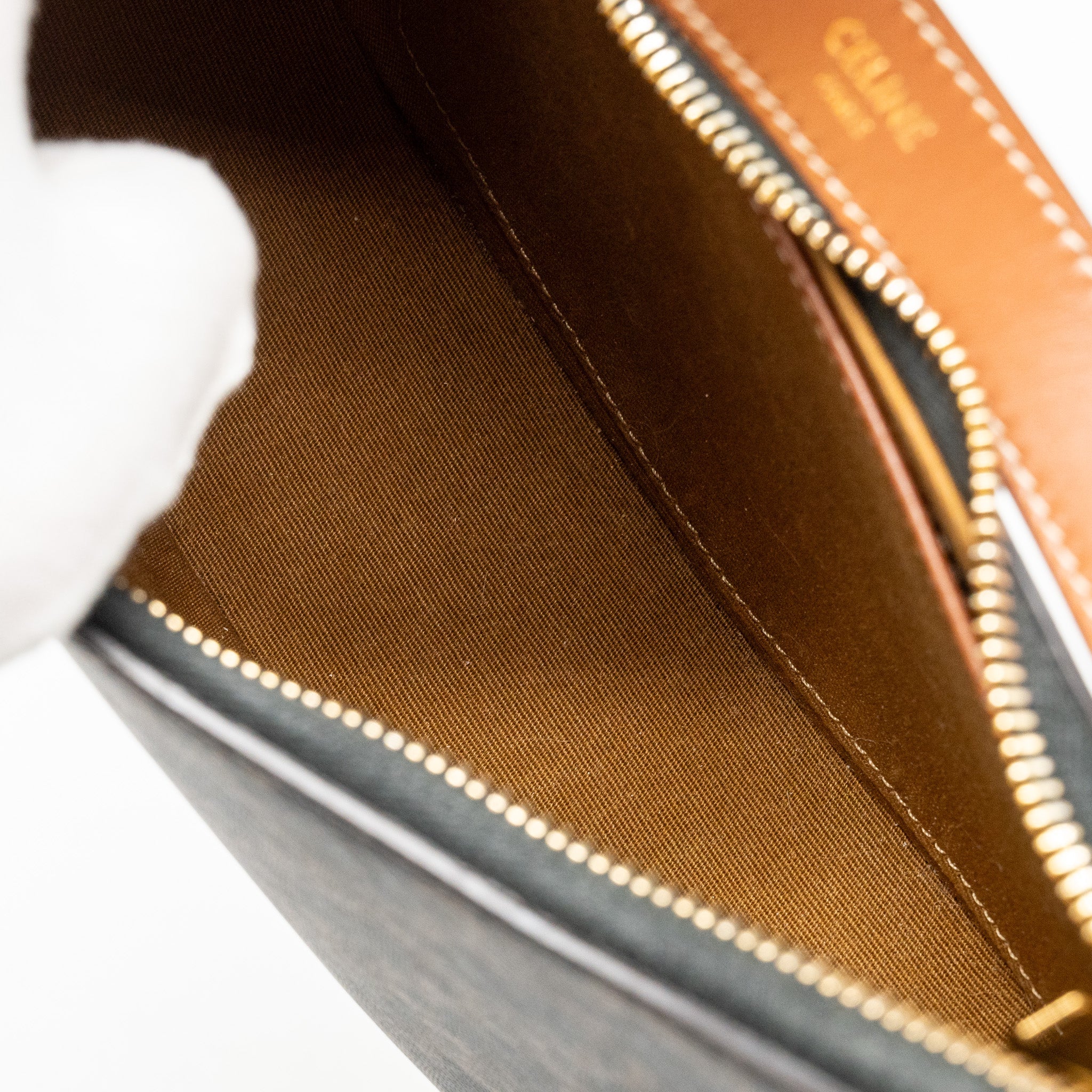 celine-ava-bag-triomphe-canvas-calfskin-tan-ghw-1