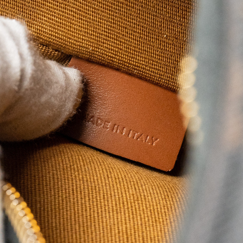 celine-ava-bag-triomphe-canvas-calfskin-tan-ghw-1