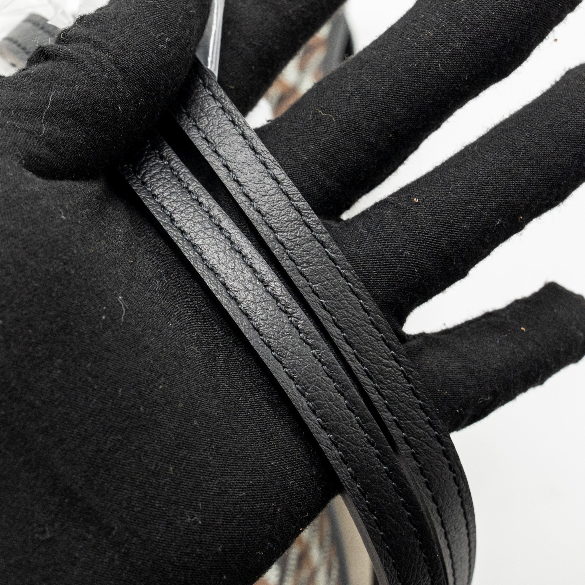 goyard-saint-louis-pm-tote-goyardine-canvas-calfskin-black-shw