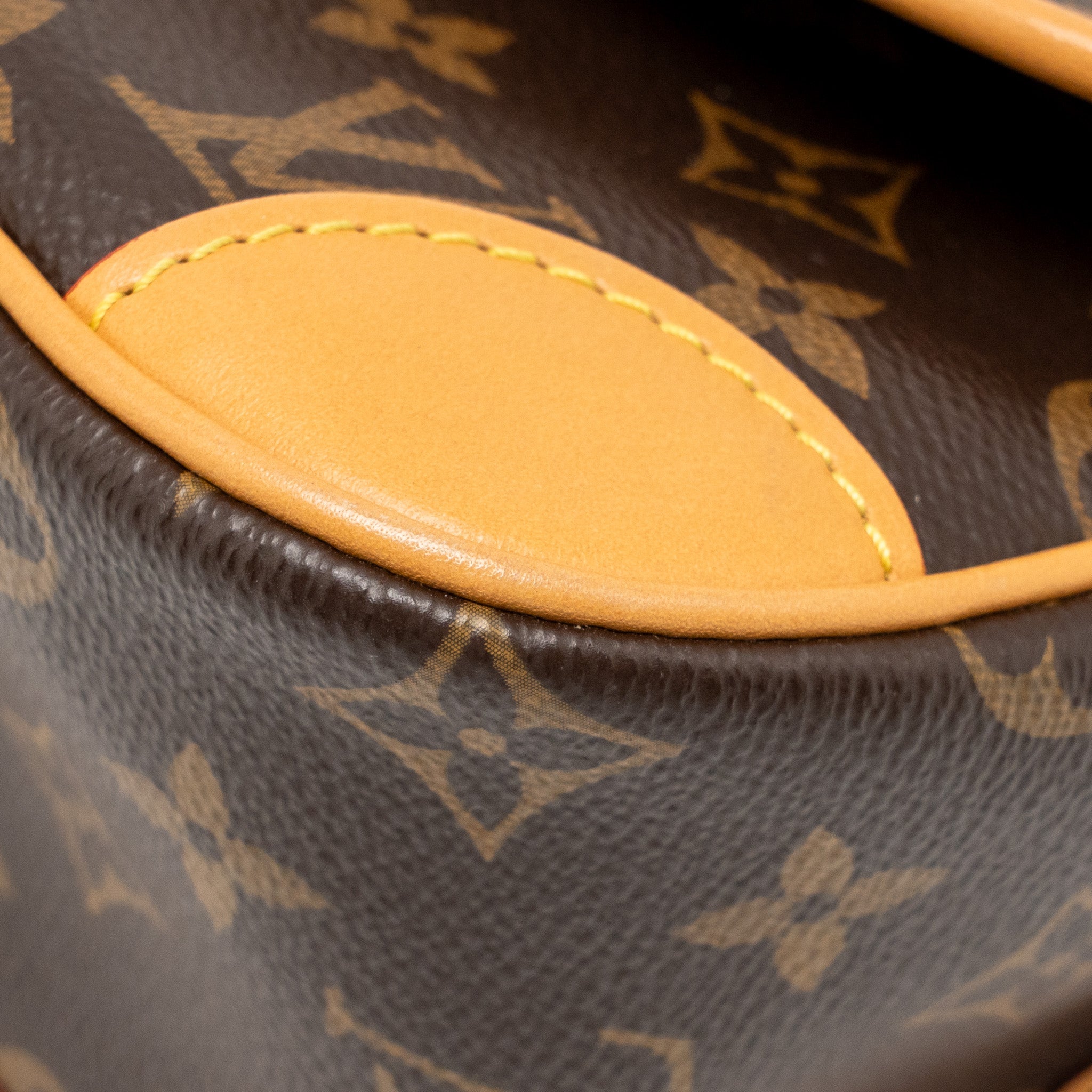 louis-vuitton-diane-bag-monogram-canvas-ghw-2