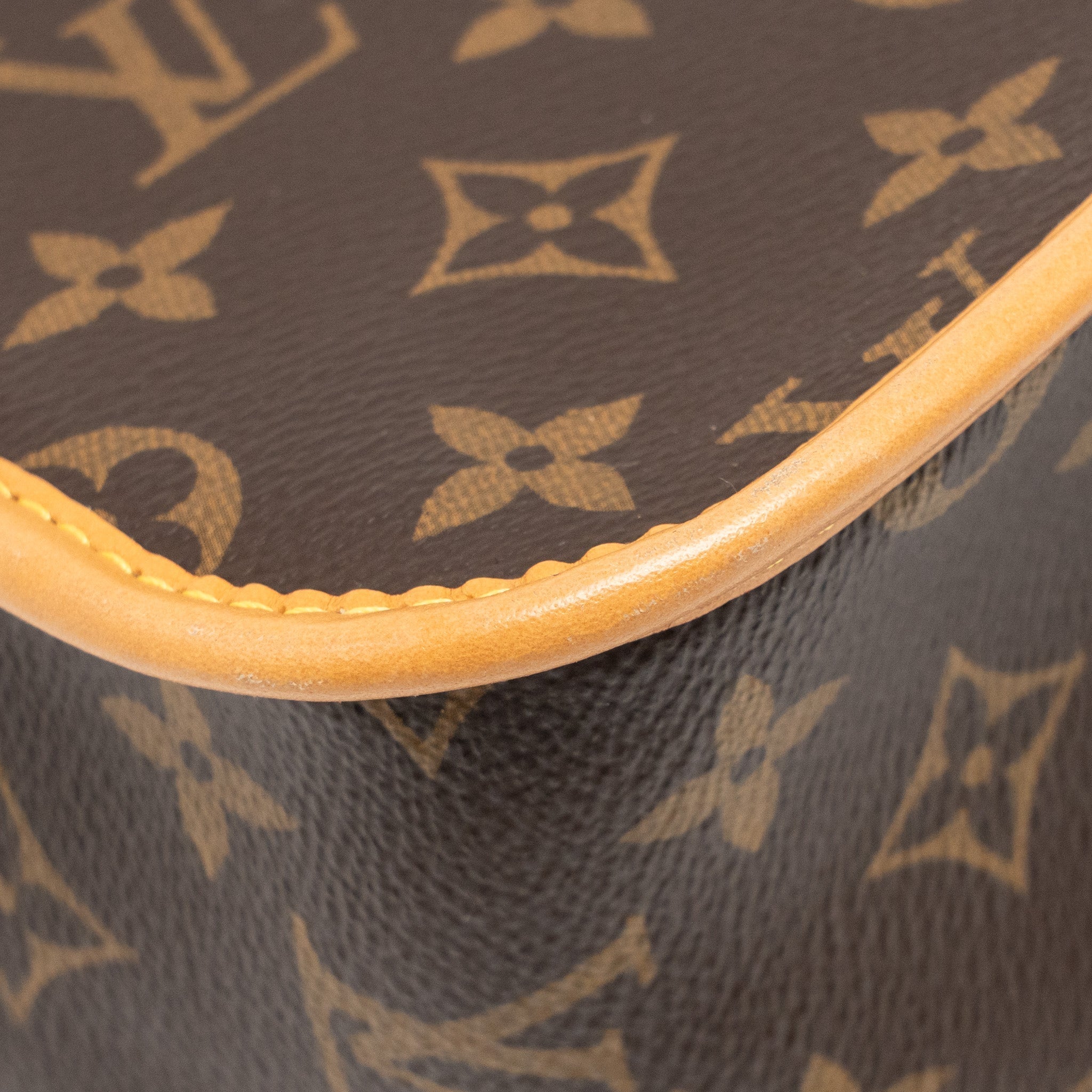 louis-vuitton-diane-bag-monogram-canvas-ghw-2