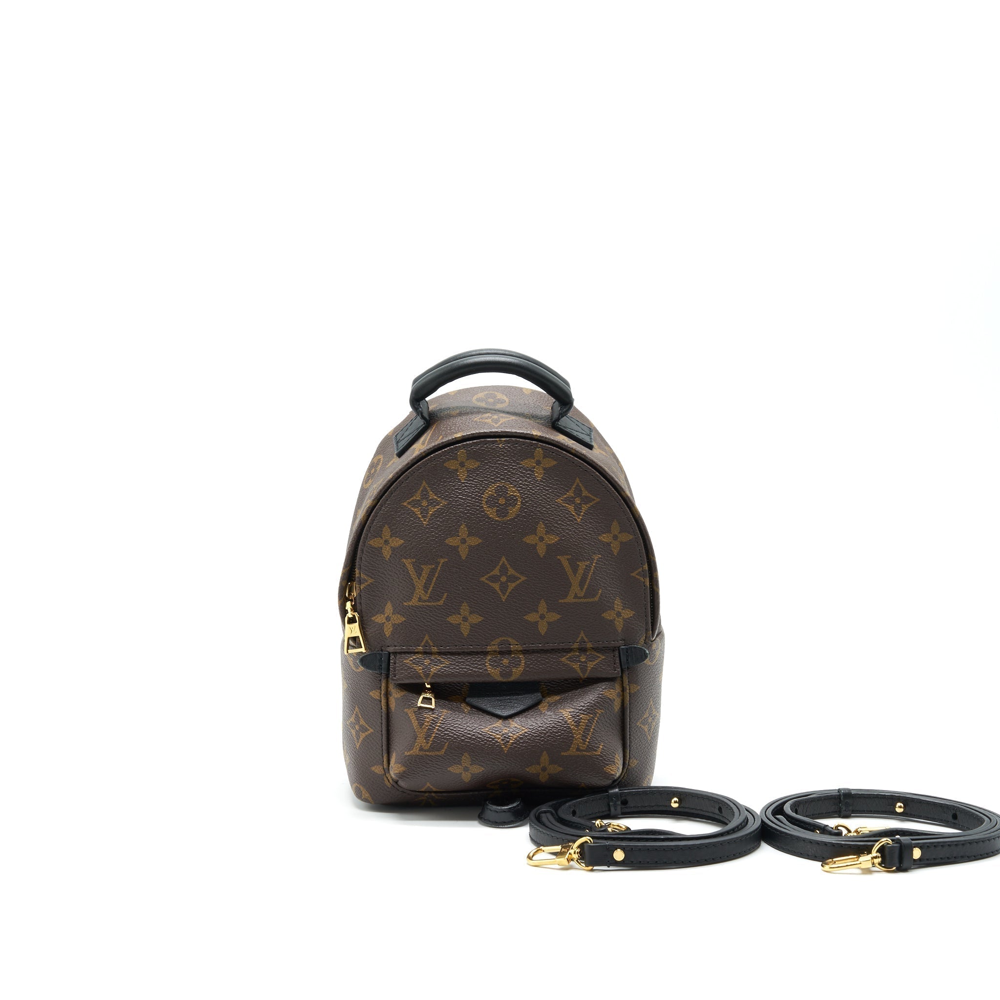 louis-vuitton-palm-springs-mini-backpack-old-version