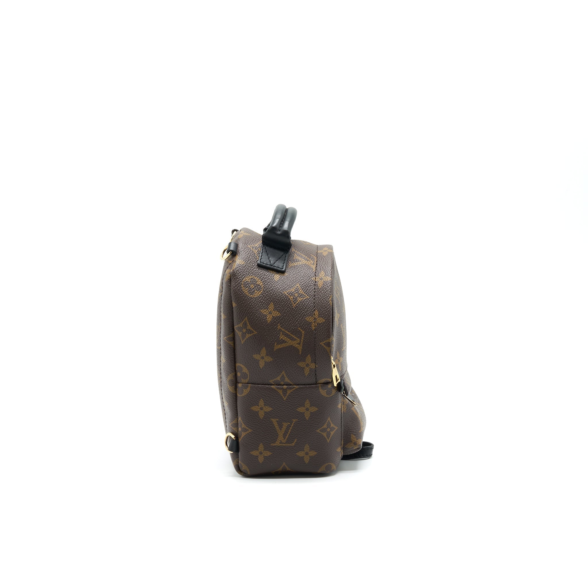 louis-vuitton-palm-springs-mini-backpack-old-version