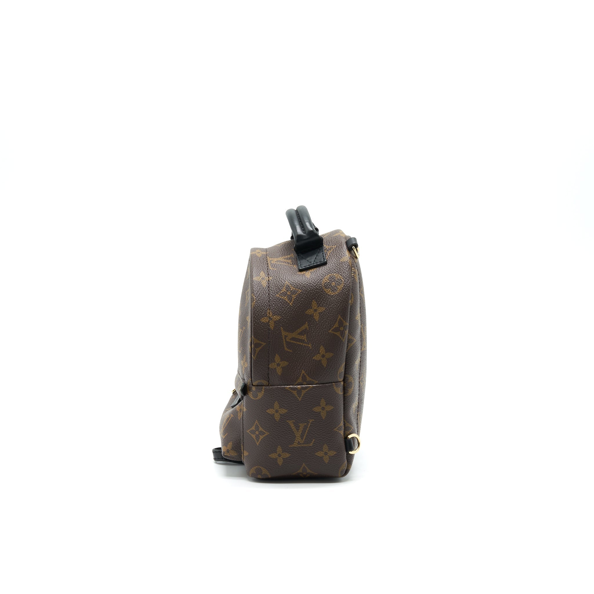 louis-vuitton-palm-springs-mini-backpack-old-version