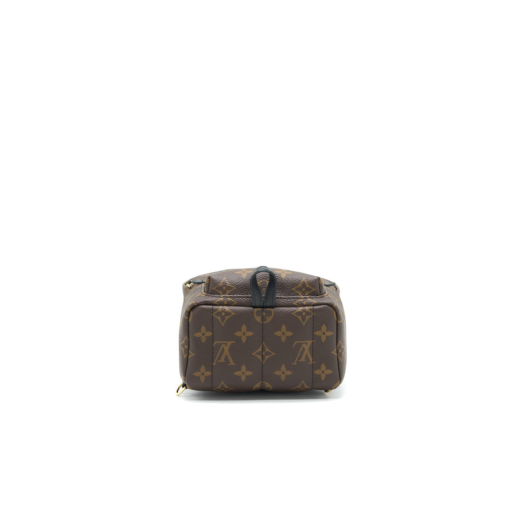 louis-vuitton-palm-springs-mini-backpack-old-version