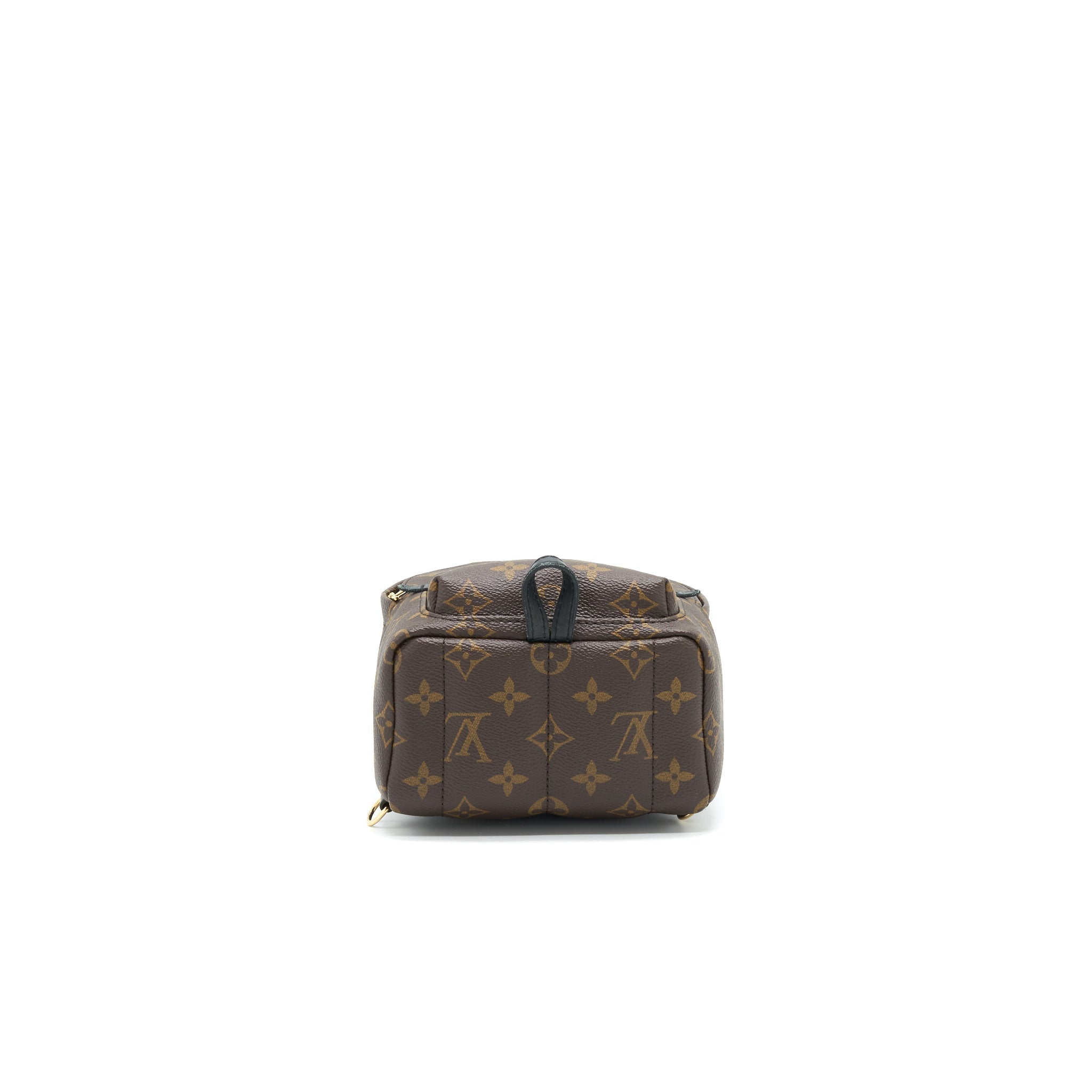 louis-vuitton-palm-springs-mini-backpack-old-version