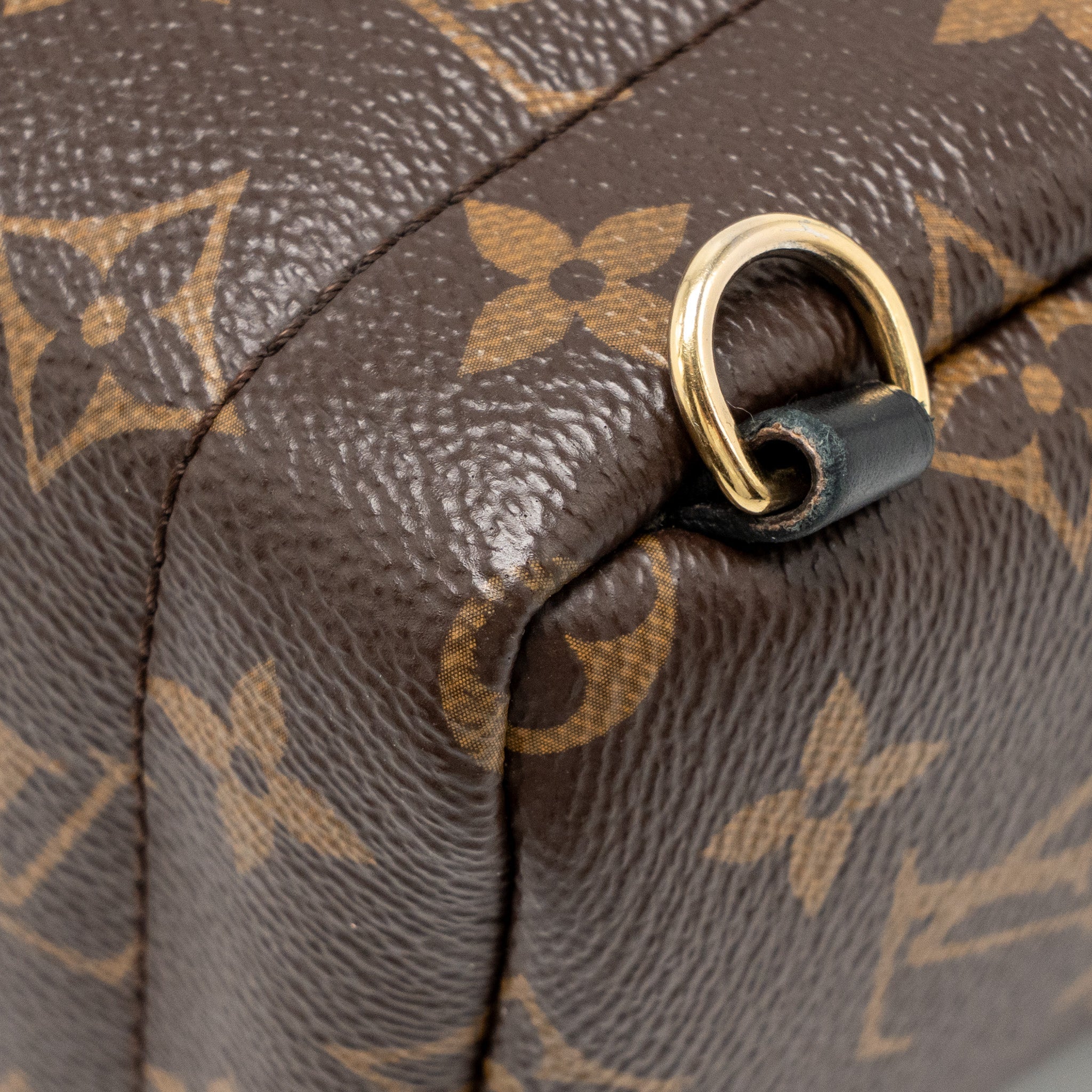 louis-vuitton-palm-springs-mini-monogram-canvas-ghw
