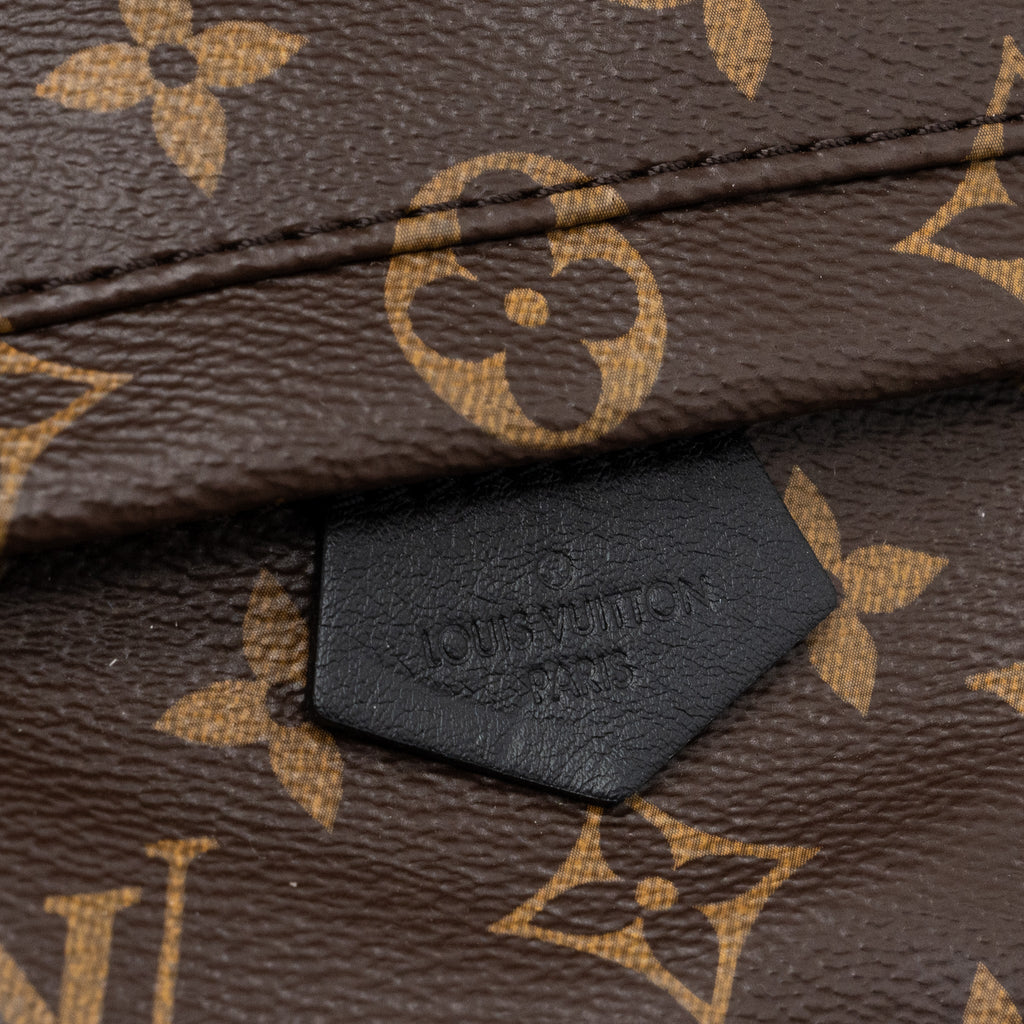 louis-vuitton-palm-spring-mini-backpack-monogram-canvas-ghw-new-version
