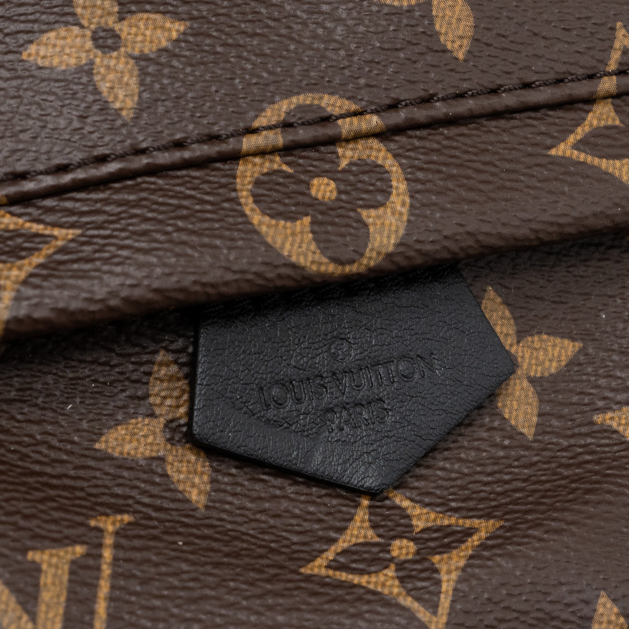 louis-vuitton-palm-spring-mini-backpack-monogram-canvas-ghw-new-version