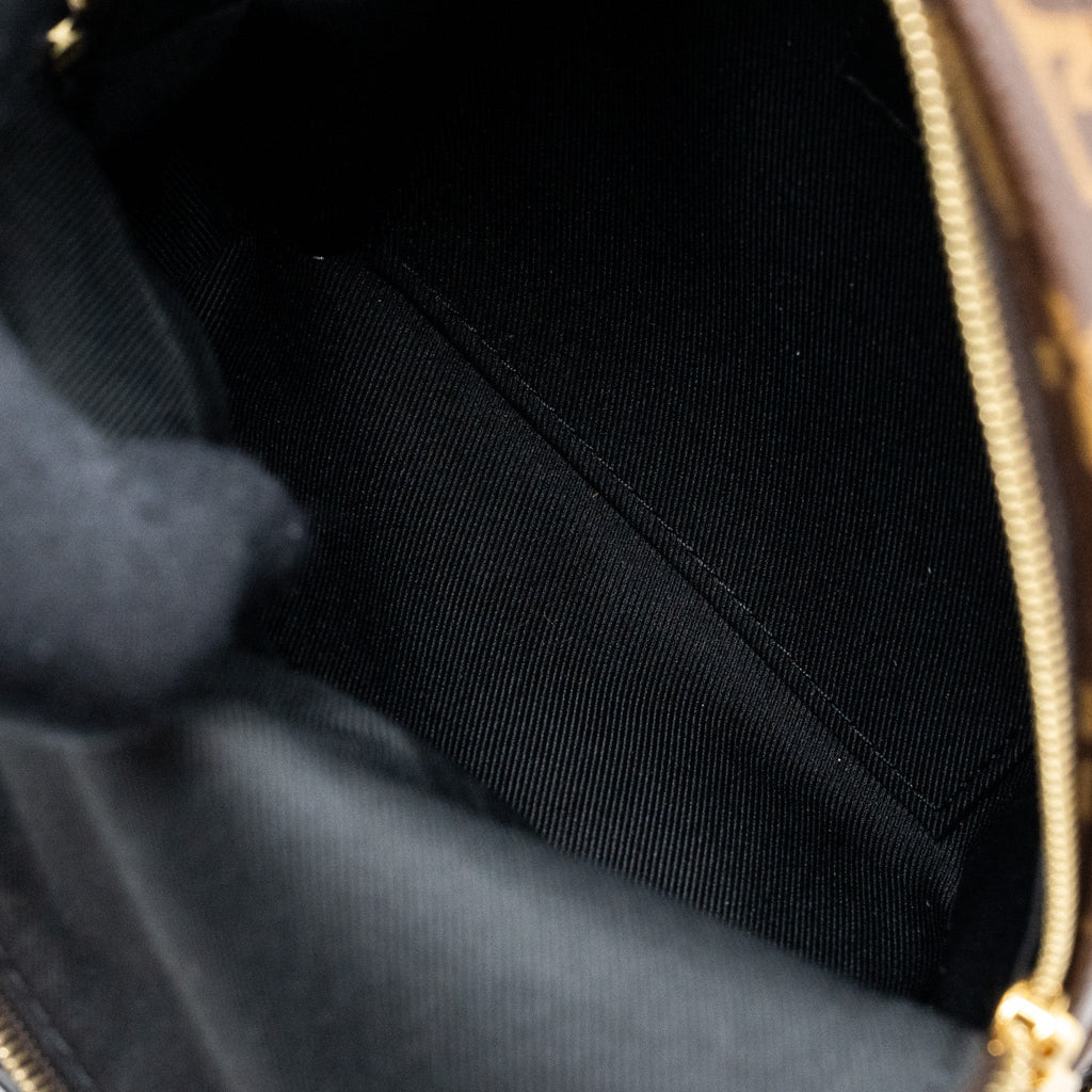 louis-vuitton-palm-spring-mini-backpack-monogram-canvas-ghw-new-version