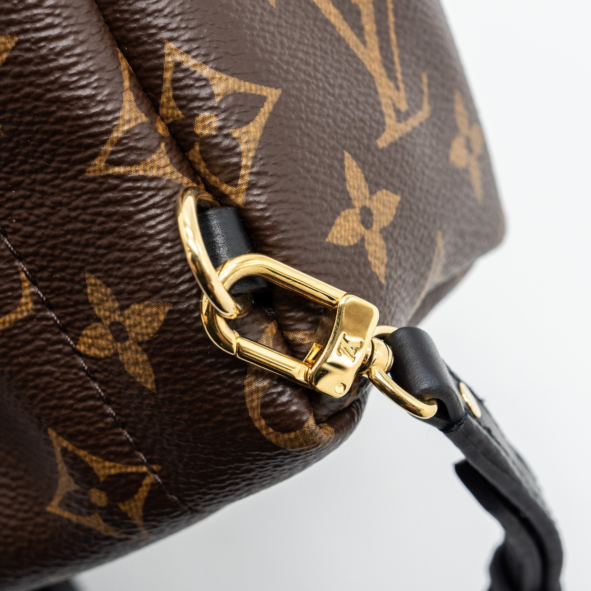 louis-vuitton-palm-spring-mini-backpack-monogram-canvas-ghw-new-version