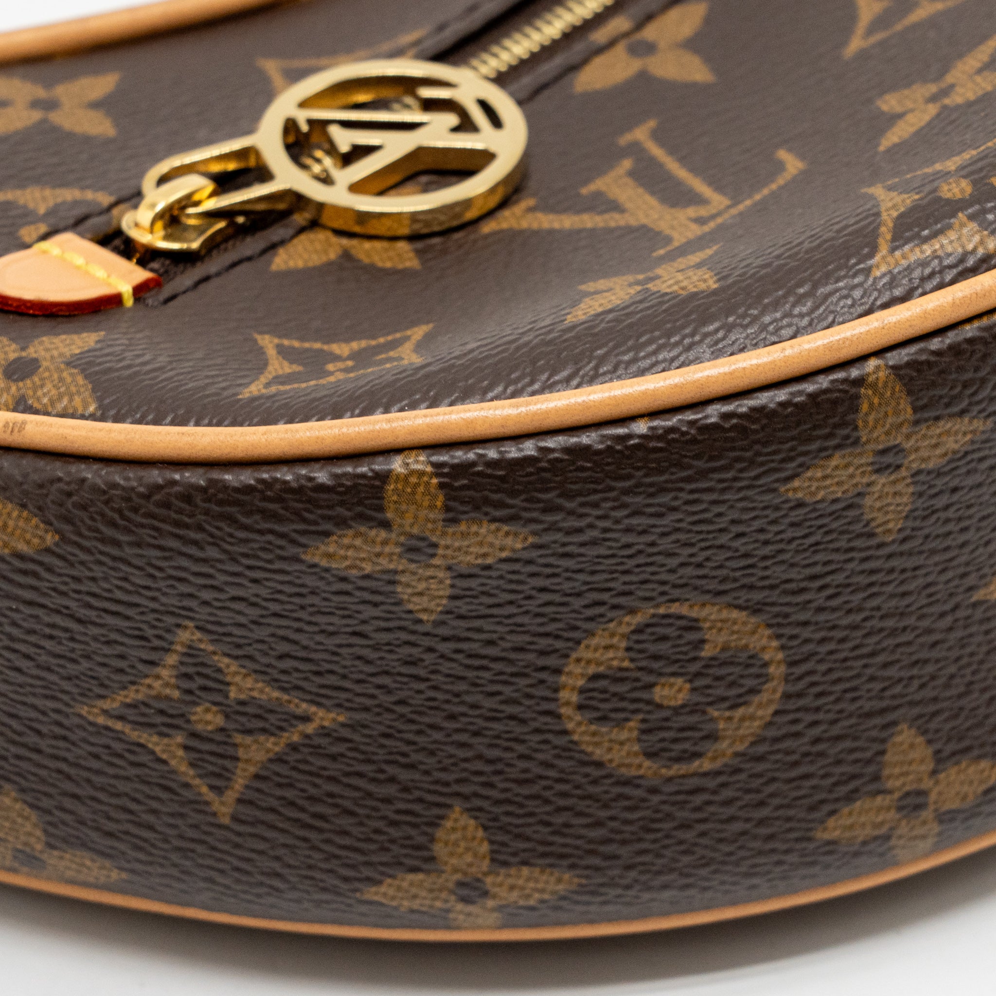 louis-vuitton-loop-pm-bag-monogram-canvas-ghw