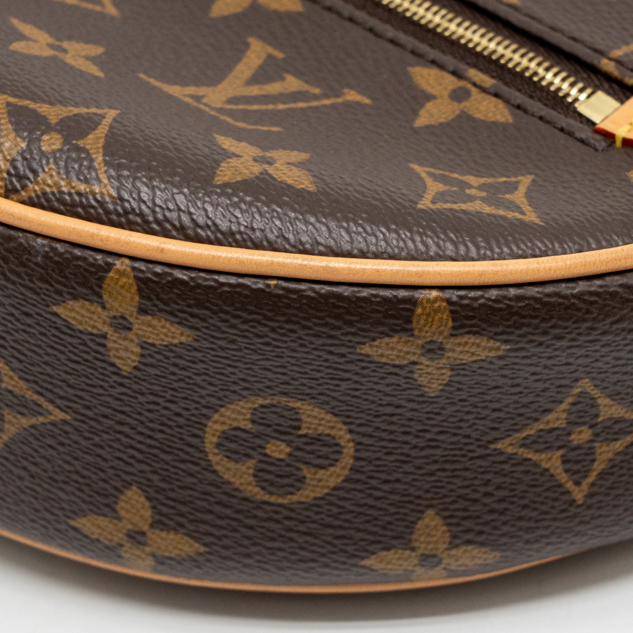 louis-vuitton-loop-pm-bag-monogram-canvas-ghw