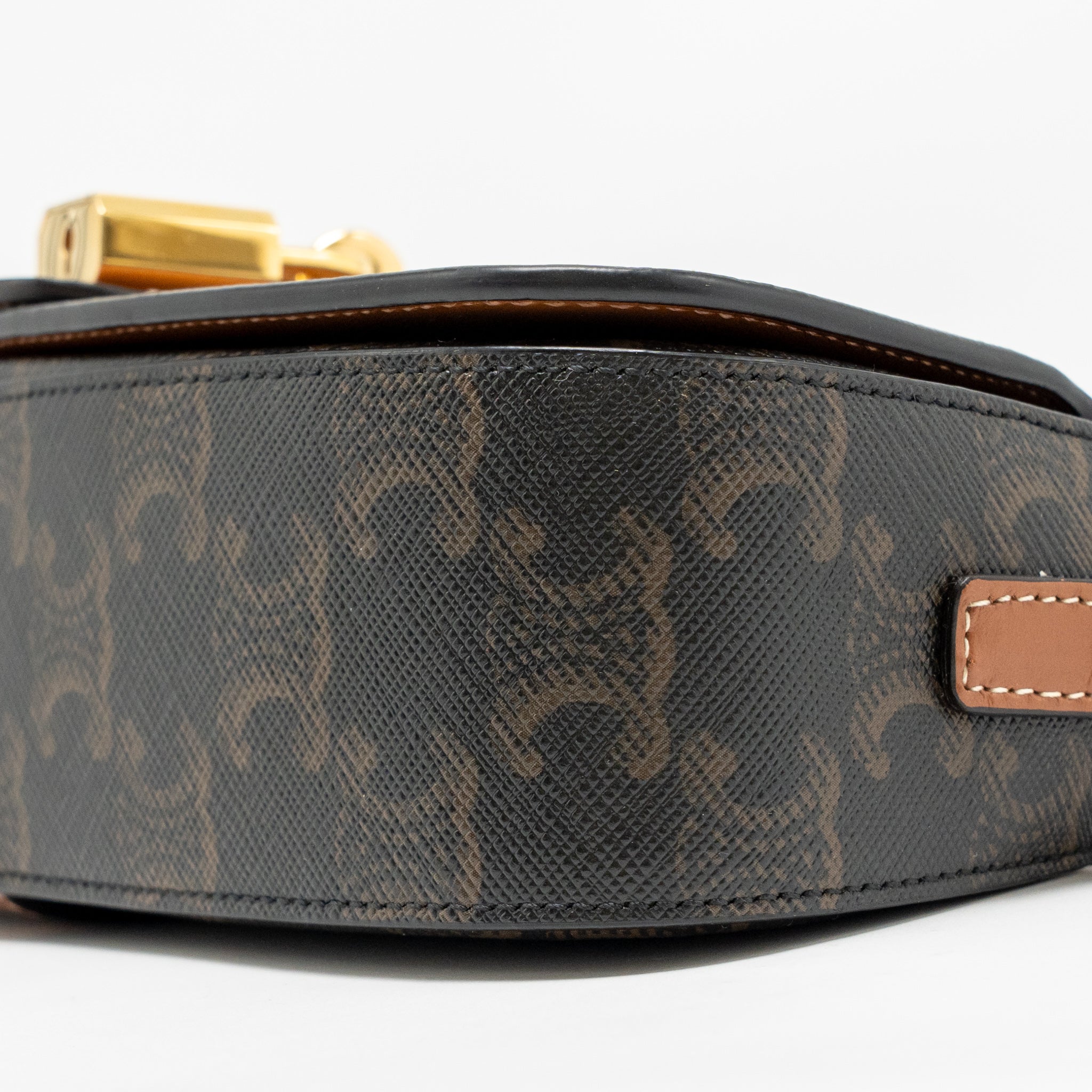 celine-clutch-on-strap-tabou-triomphe-canvas-calfskin-tan-ghw-1