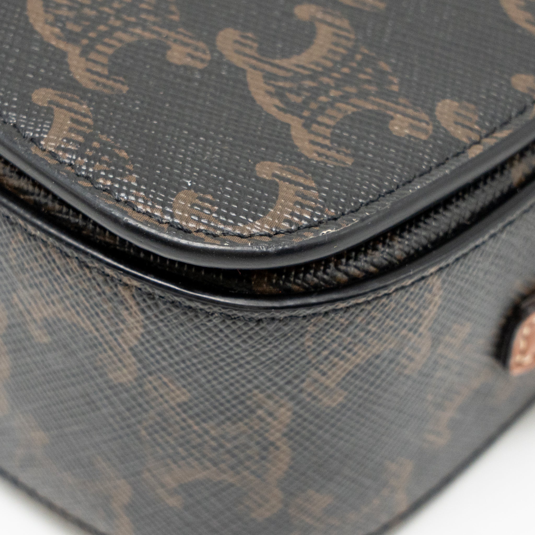 celine-clutch-on-strap-tabou-triomphe-canvas-calfskin-tan-ghw-1