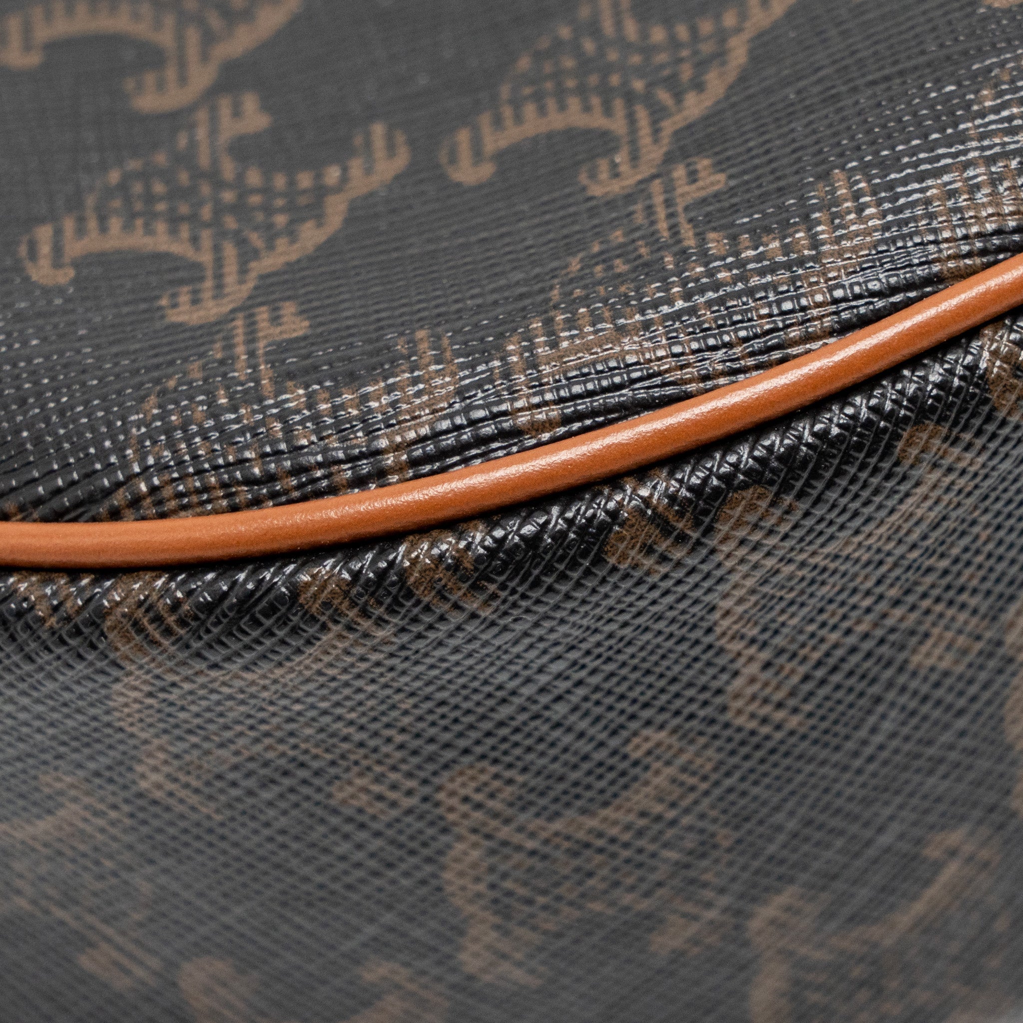 celine-ava-bag-triomphe-canvas-calfskin-tan-ghw-copy