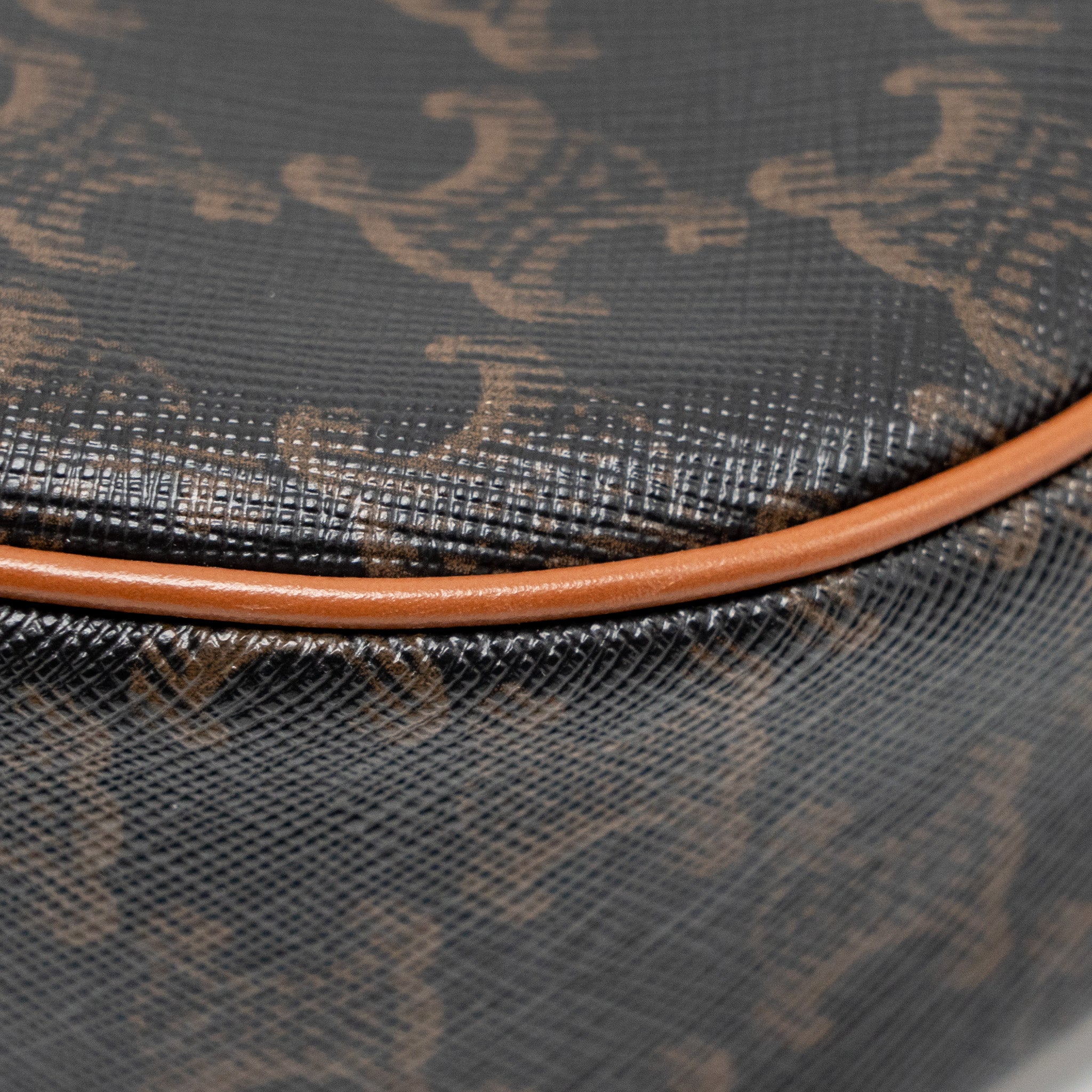 celine-ava-bag-triomphe-canvas-calfskin-tan-ghw-copy