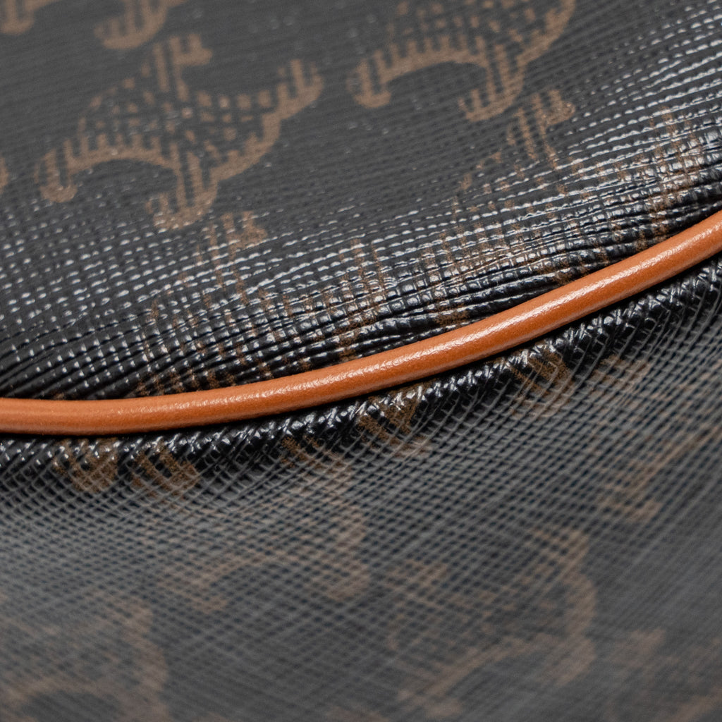 celine-ava-bag-triomphe-canvas-calfskin-tan-ghw-copy