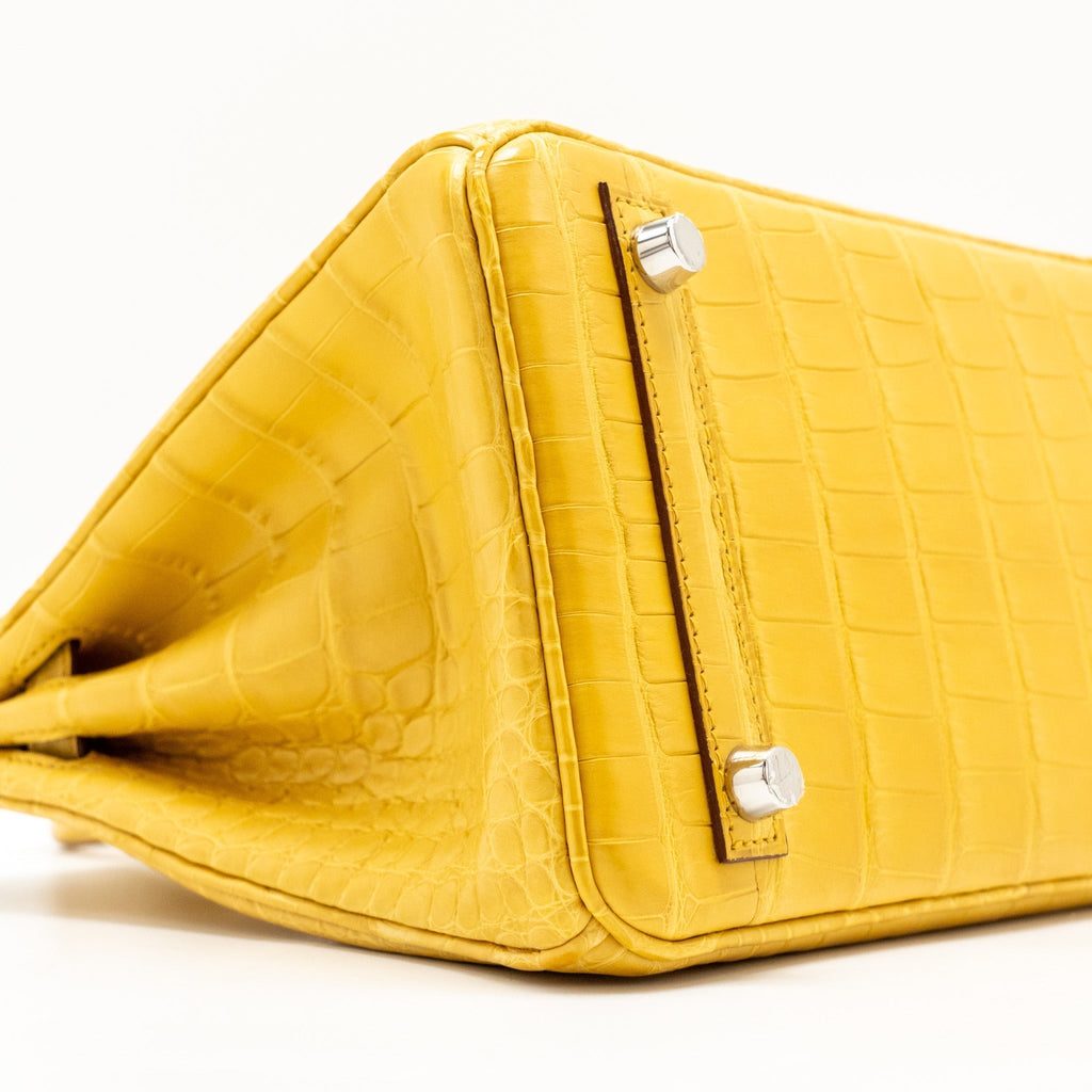 hermes-birkin-1