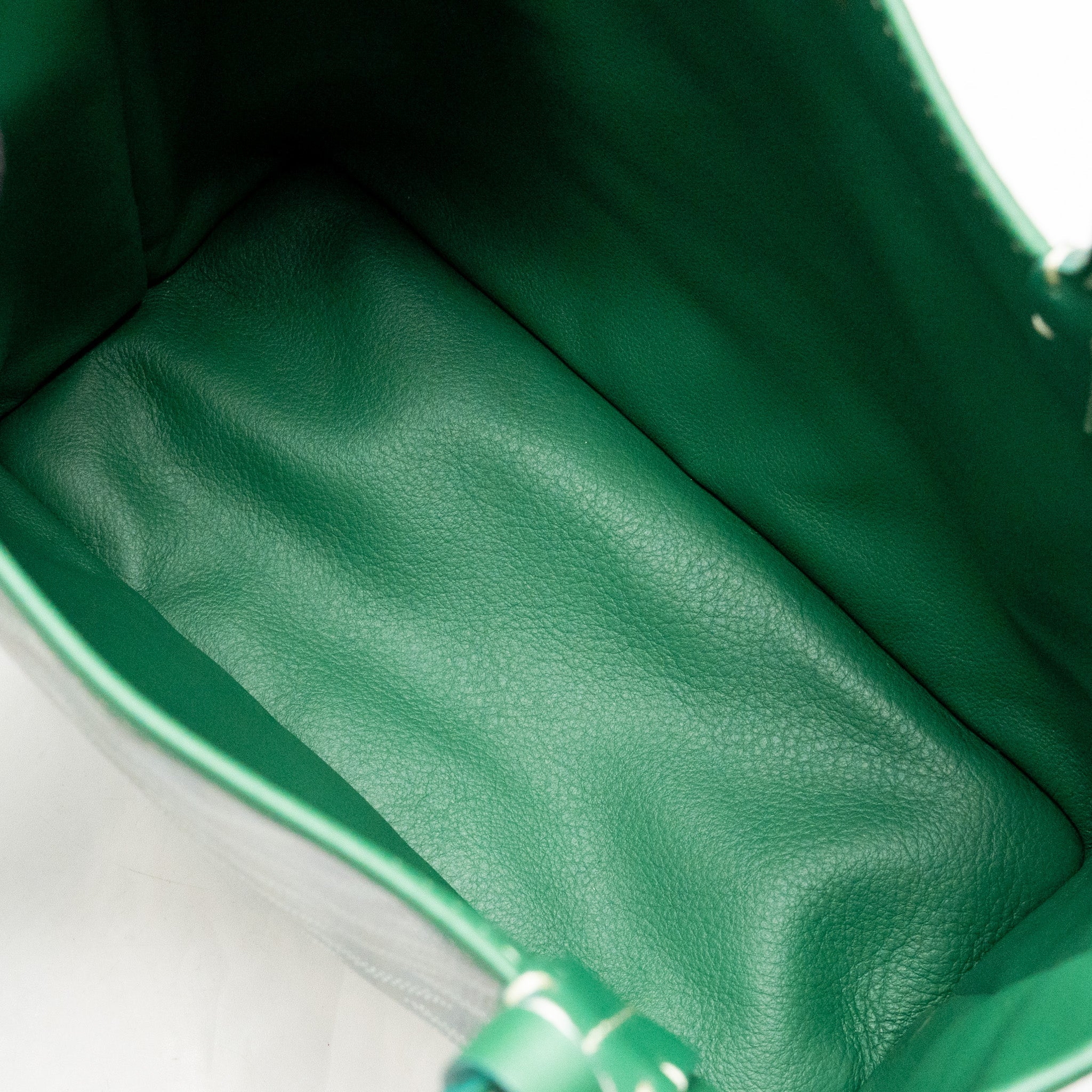 goyard-mini-anjou-tote-goyardine-canvas-calfskin-green-shw
