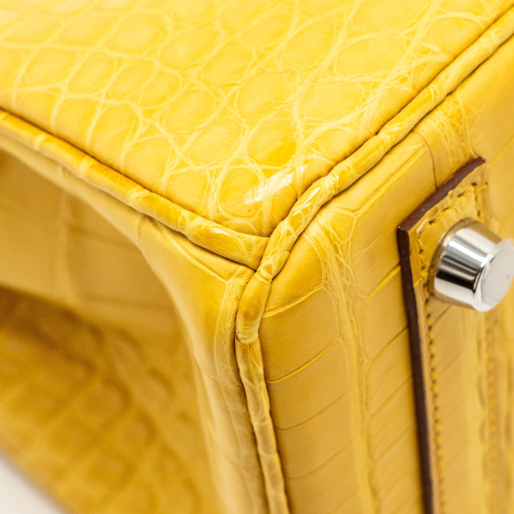 hermes-birkin-1
