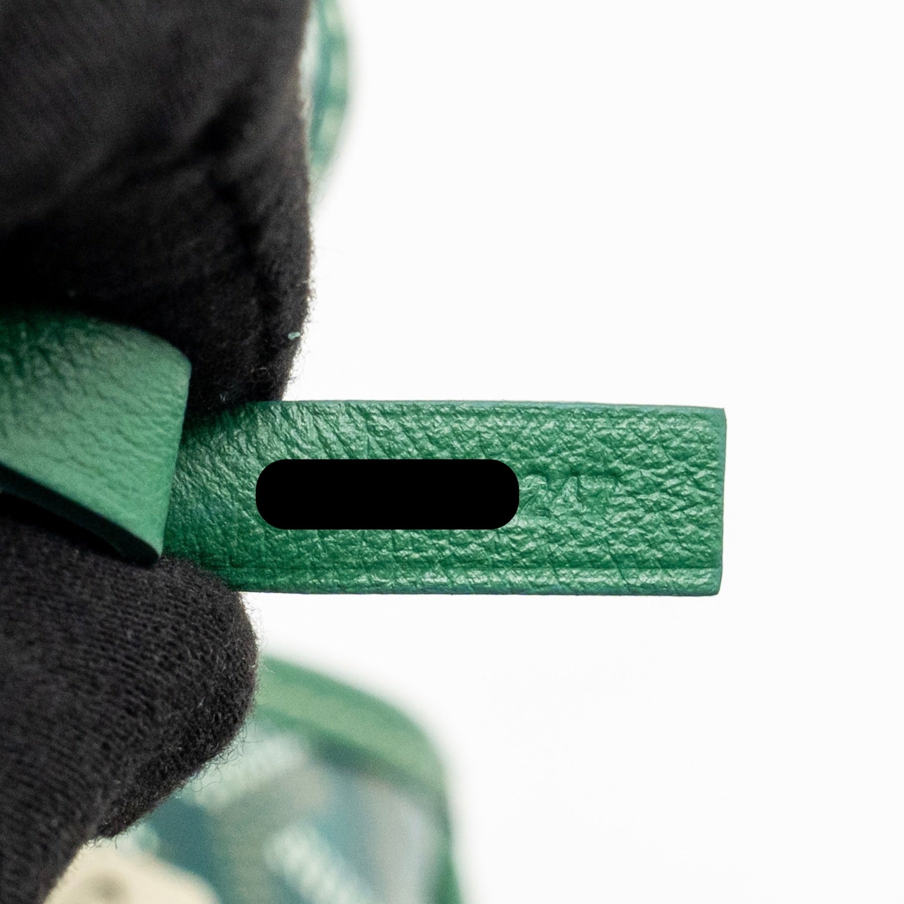 goyard-mini-anjou-tote-goyardine-canvas-calfskin-green-shw