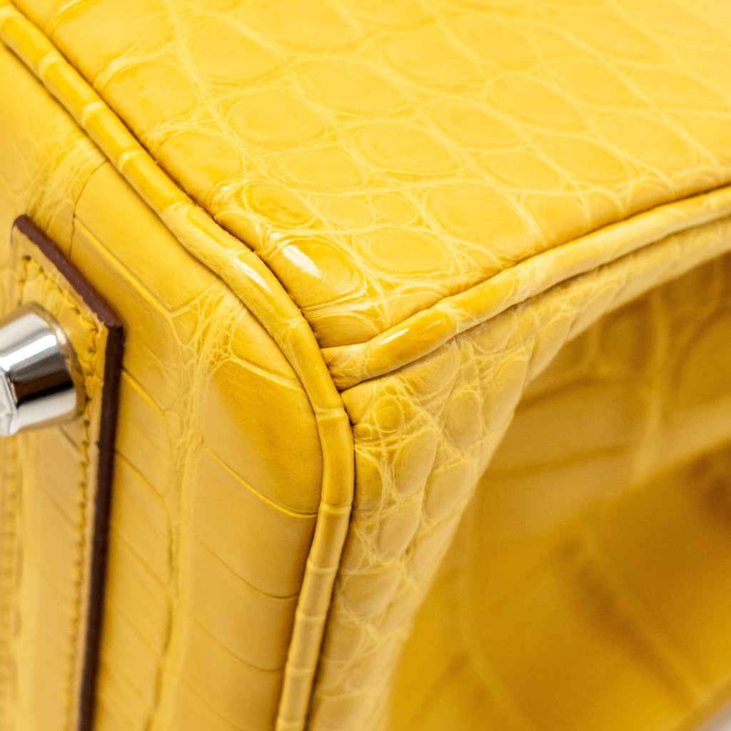 hermes-birkin-1