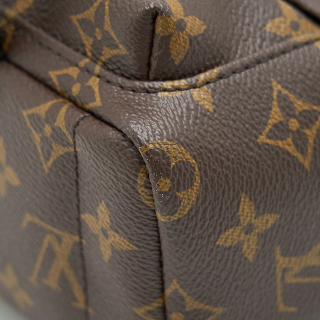 louis-vuitton-palm-springs-mini-backpack-old-version