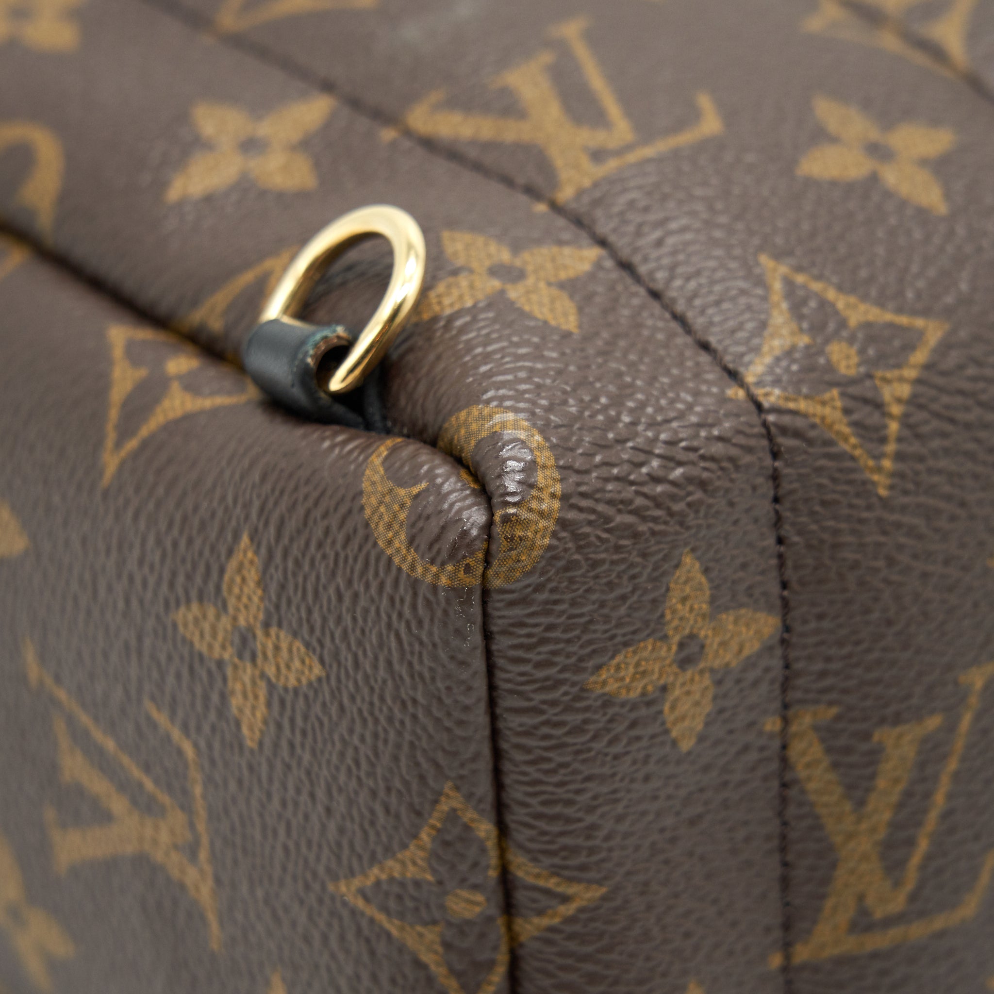 louis-vuitton-palm-springs-mini-backpack-old-version