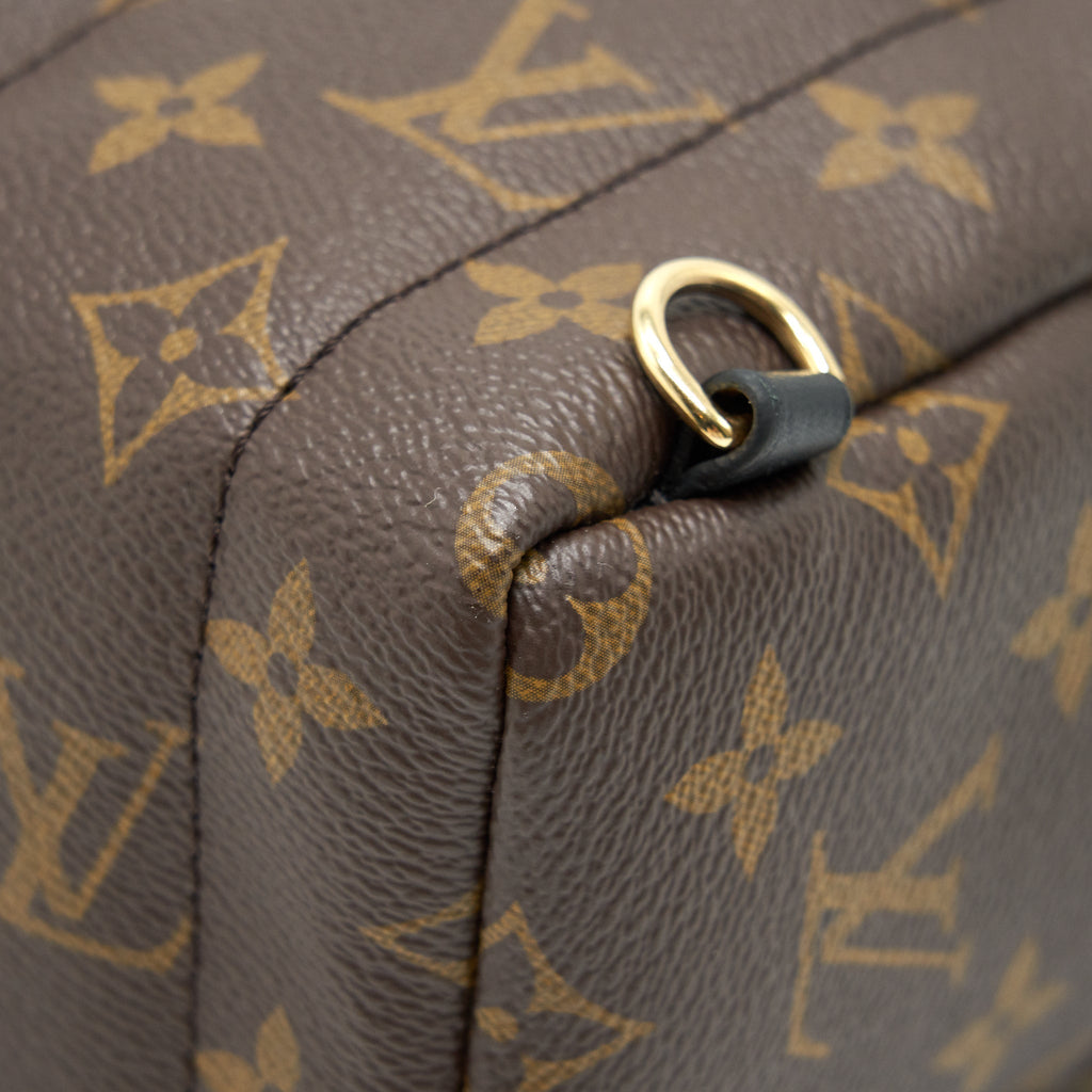 louis-vuitton-palm-springs-mini-backpack-old-version