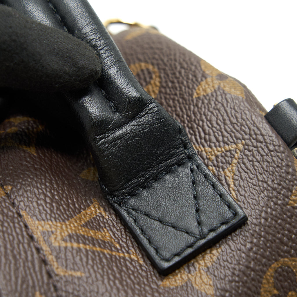 louis-vuitton-palm-springs-mini-backpack-old-version