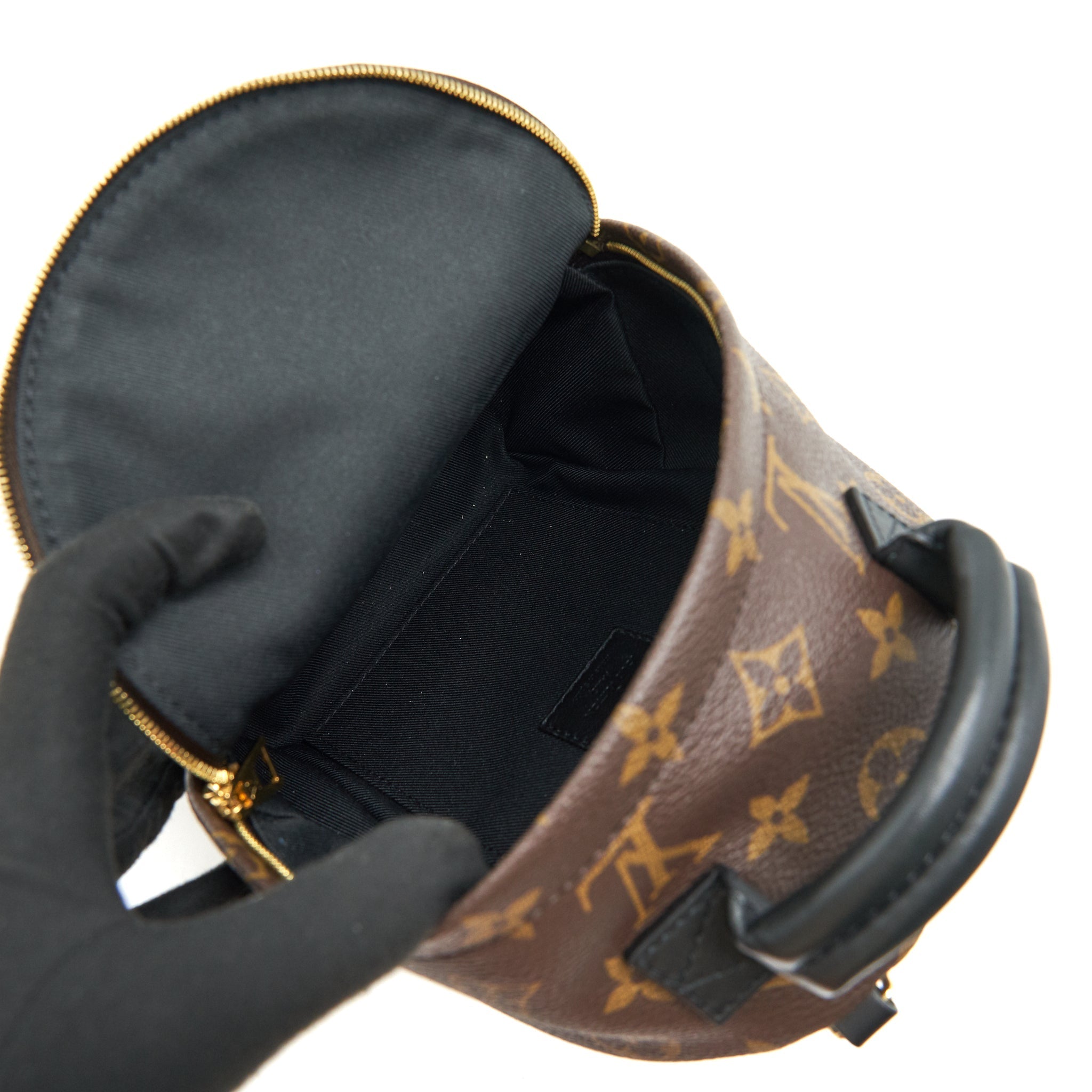 louis-vuitton-palm-springs-mini-backpack-old-version