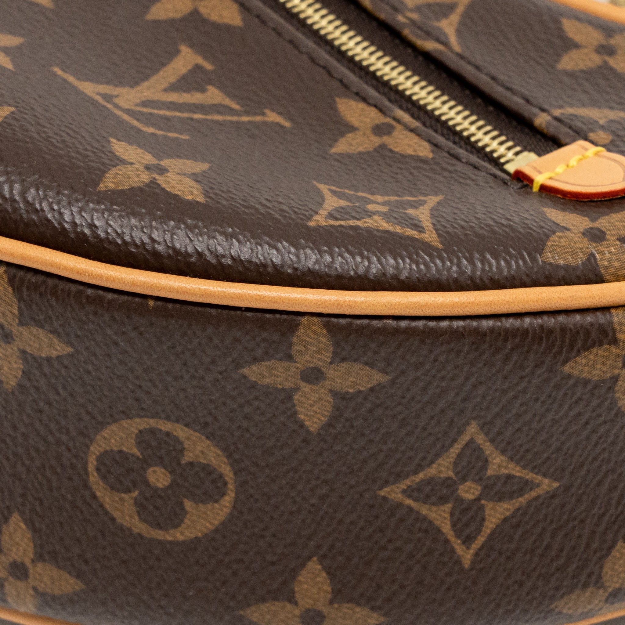 louis-vuitton-loop-bag-monogram-canvas-ghw-copy