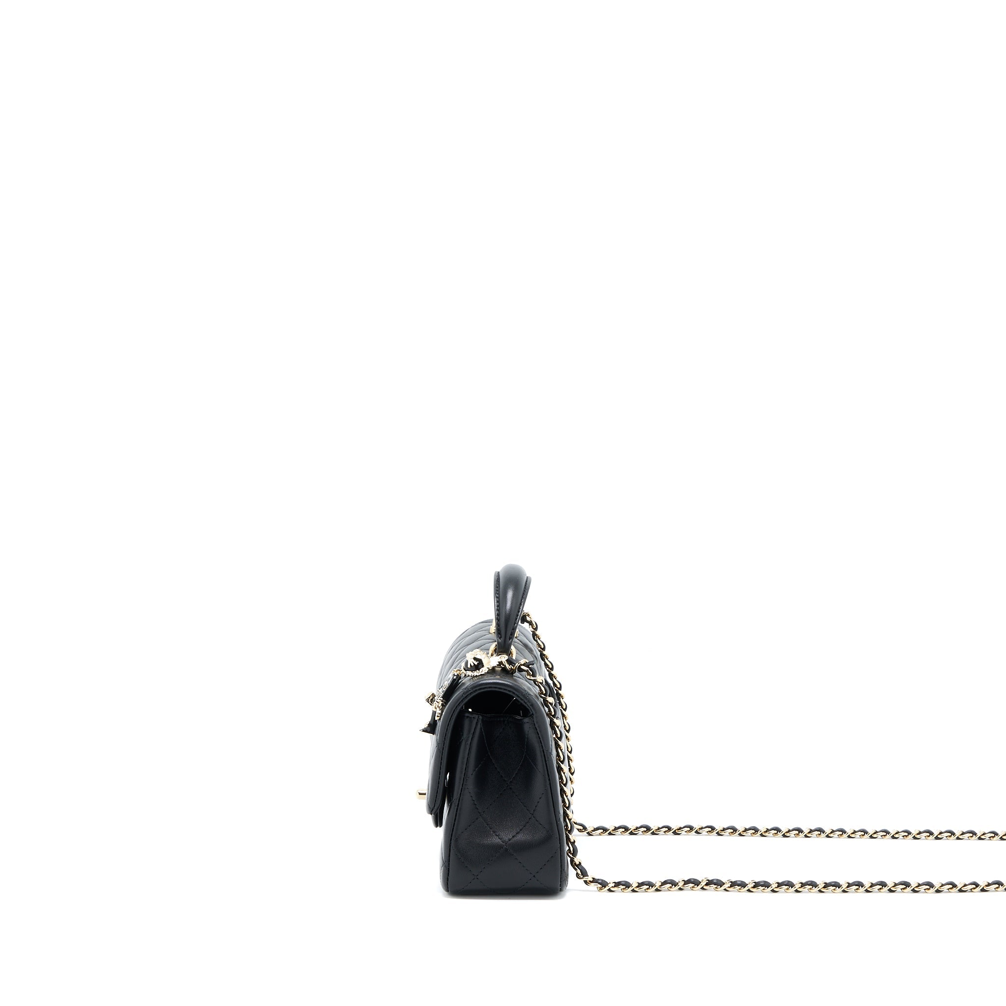 chanel-22p-top-handle-mini-rectangular-with-lion-charm-lghw-microchip