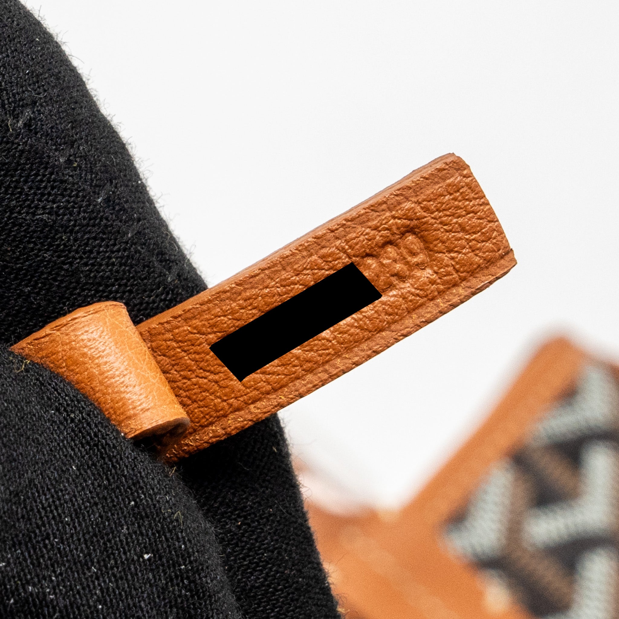 goyard-mini-anjou-tote-bag-goyardline-canvas-calfskin-black-tan-shw