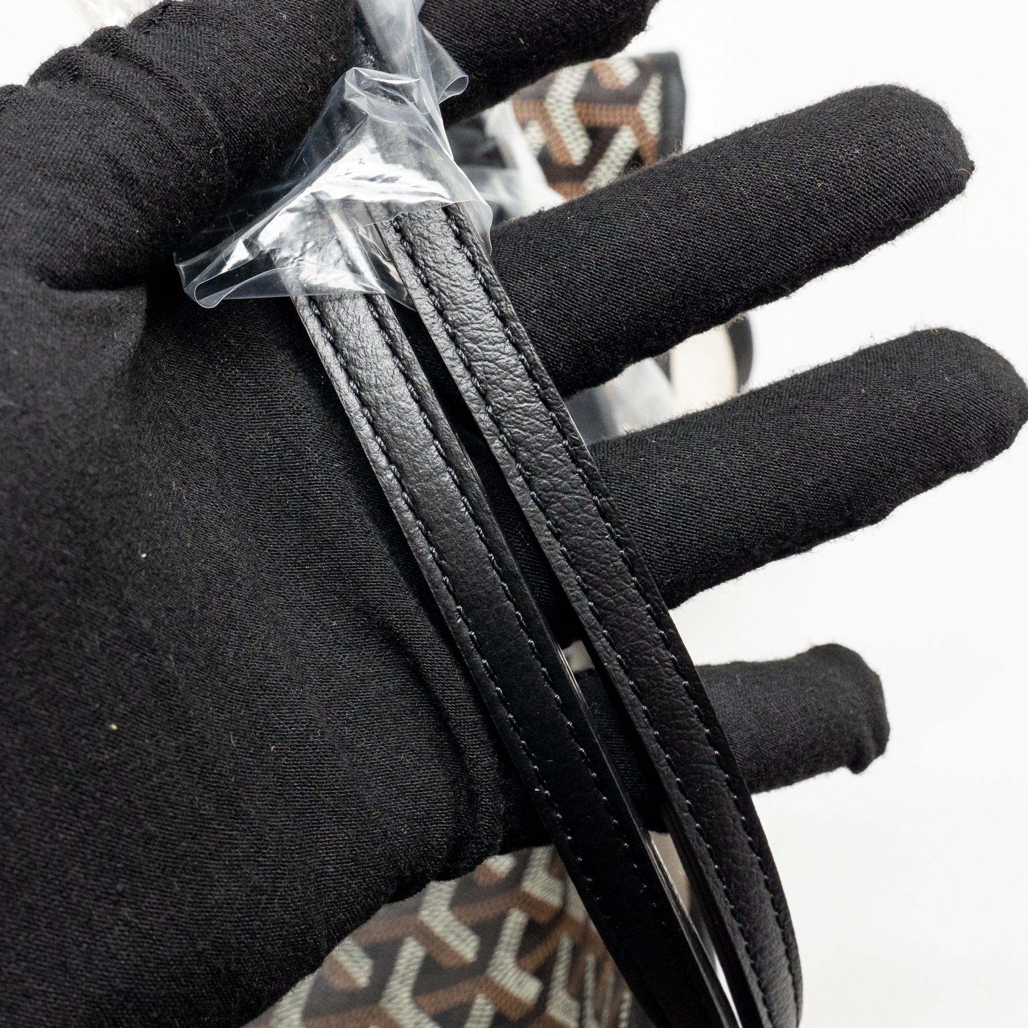 goyard-saint-louis-pm-bag-goyardine-canvas-calfskin-black-shw
