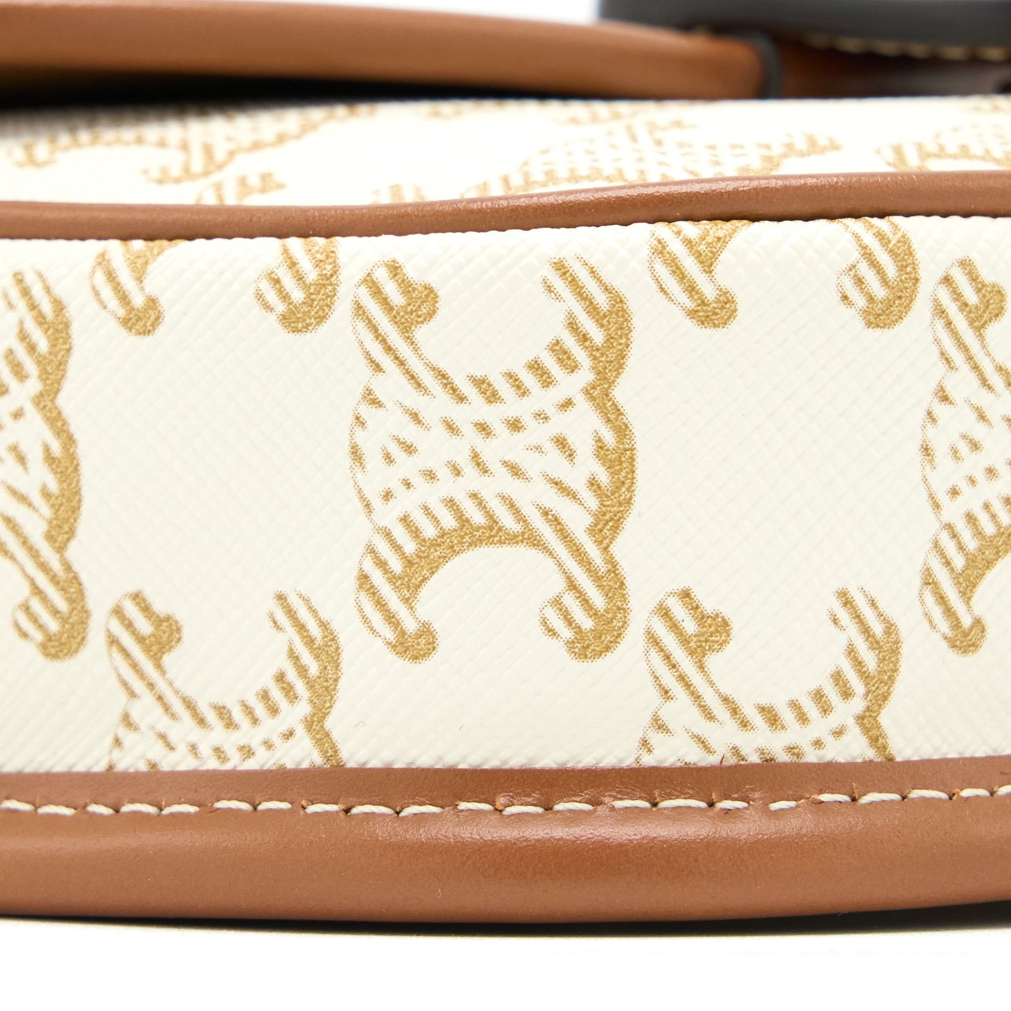 celine-mini-besace-triomphe-canvas-calfskin-white-ghw