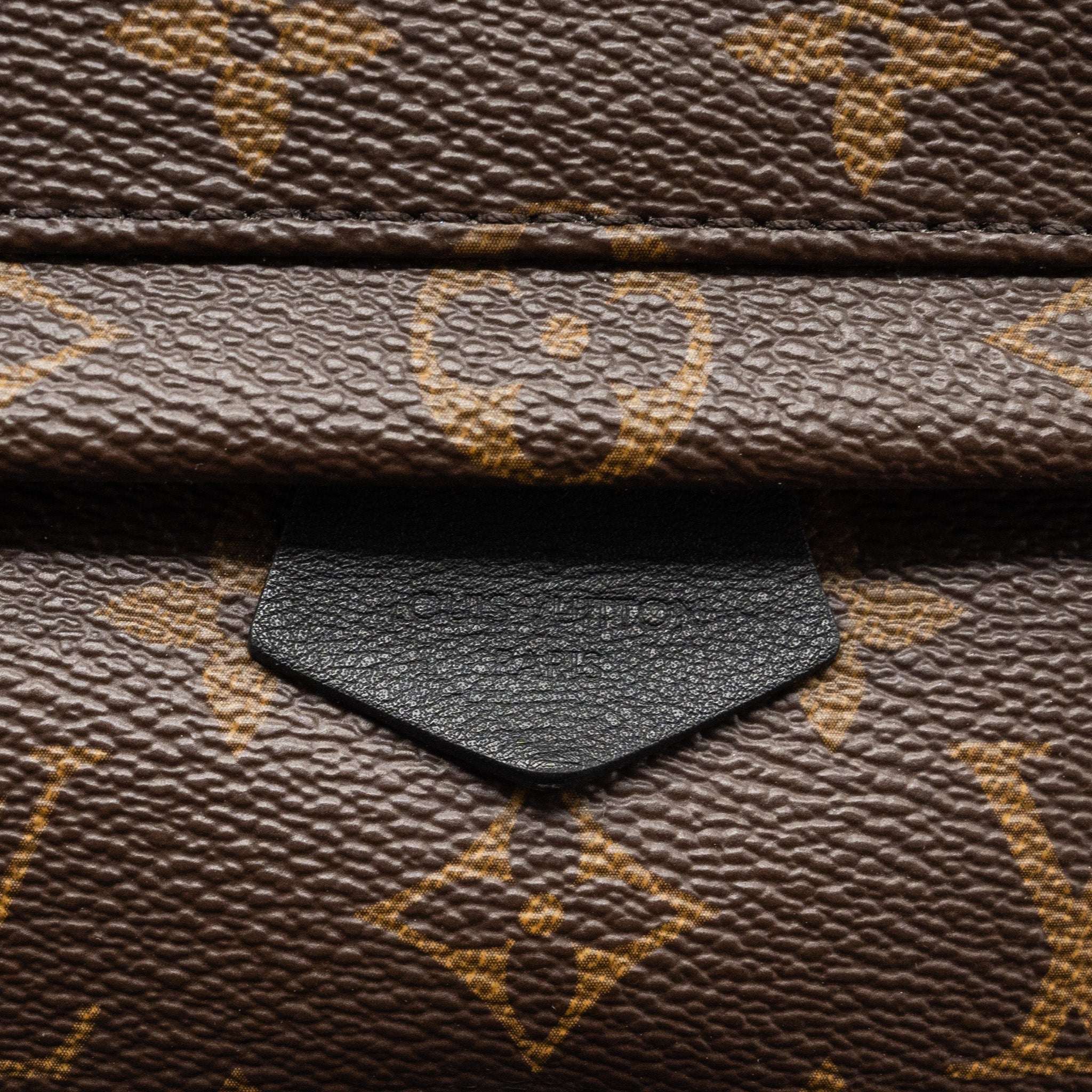 louis-vuitton-mini-palm-spring-backpack-monogram-canvas-ghw-2