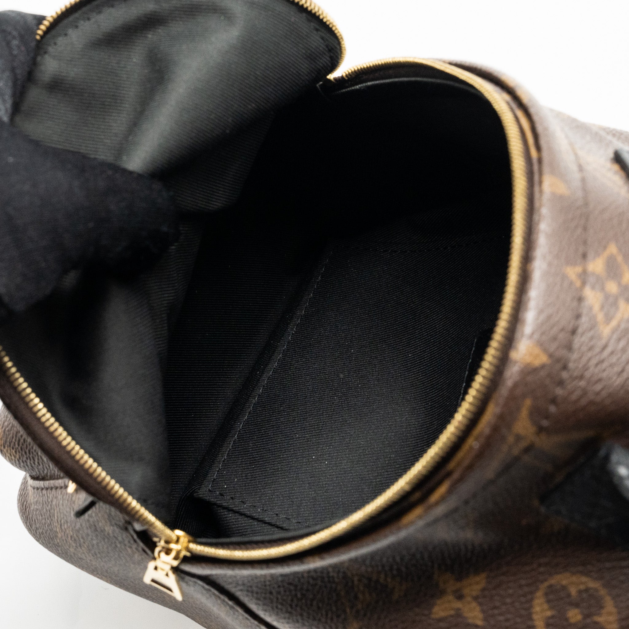 louis-vuitton-mini-palm-spring-backpack-monogram-canvas-ghw-2