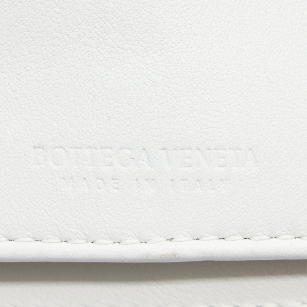 bottega-veneta-the-twist-mini-bag-white-ghw