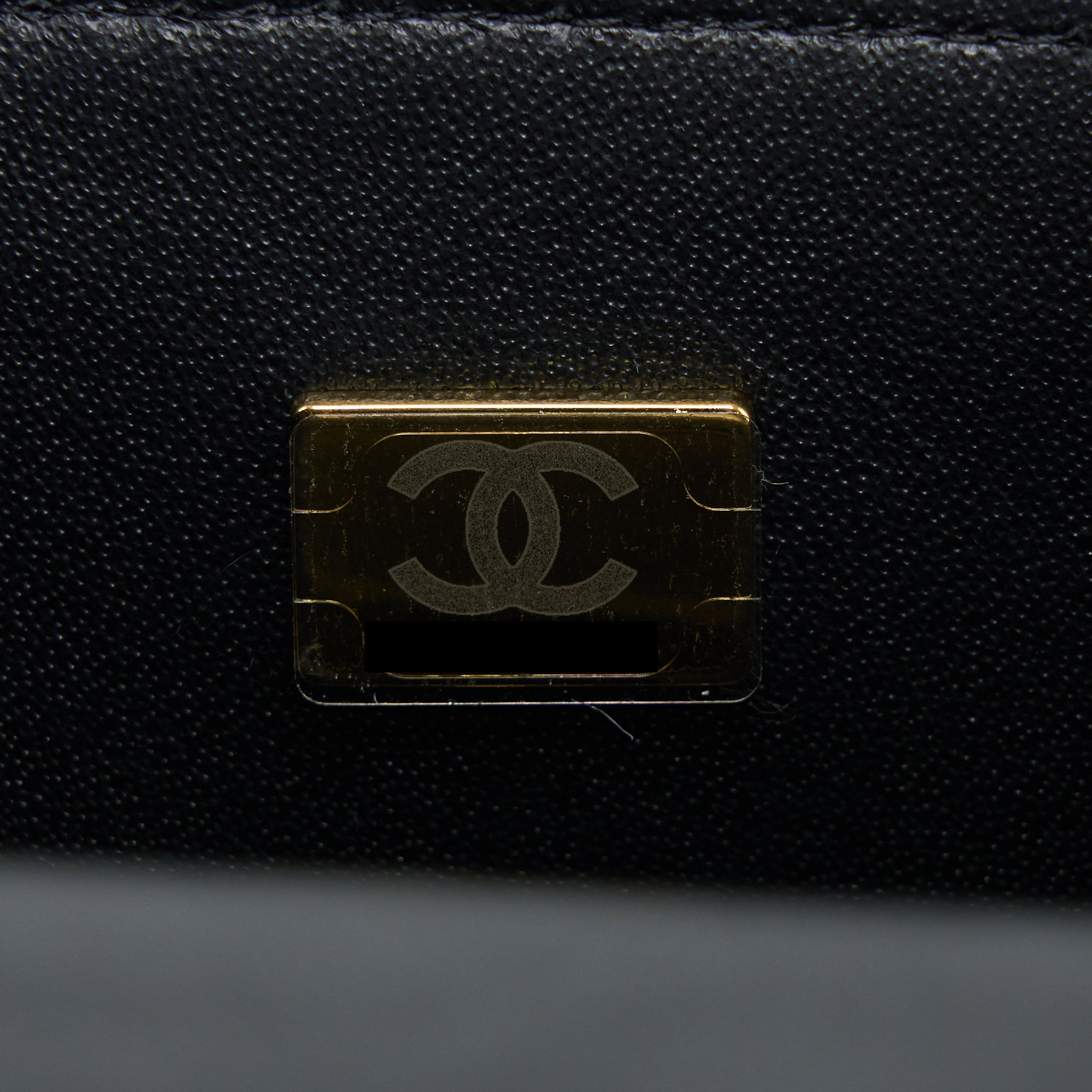 chanel-22p-top-handle-mini-rectangular-with-lion-charm-lghw-microchip