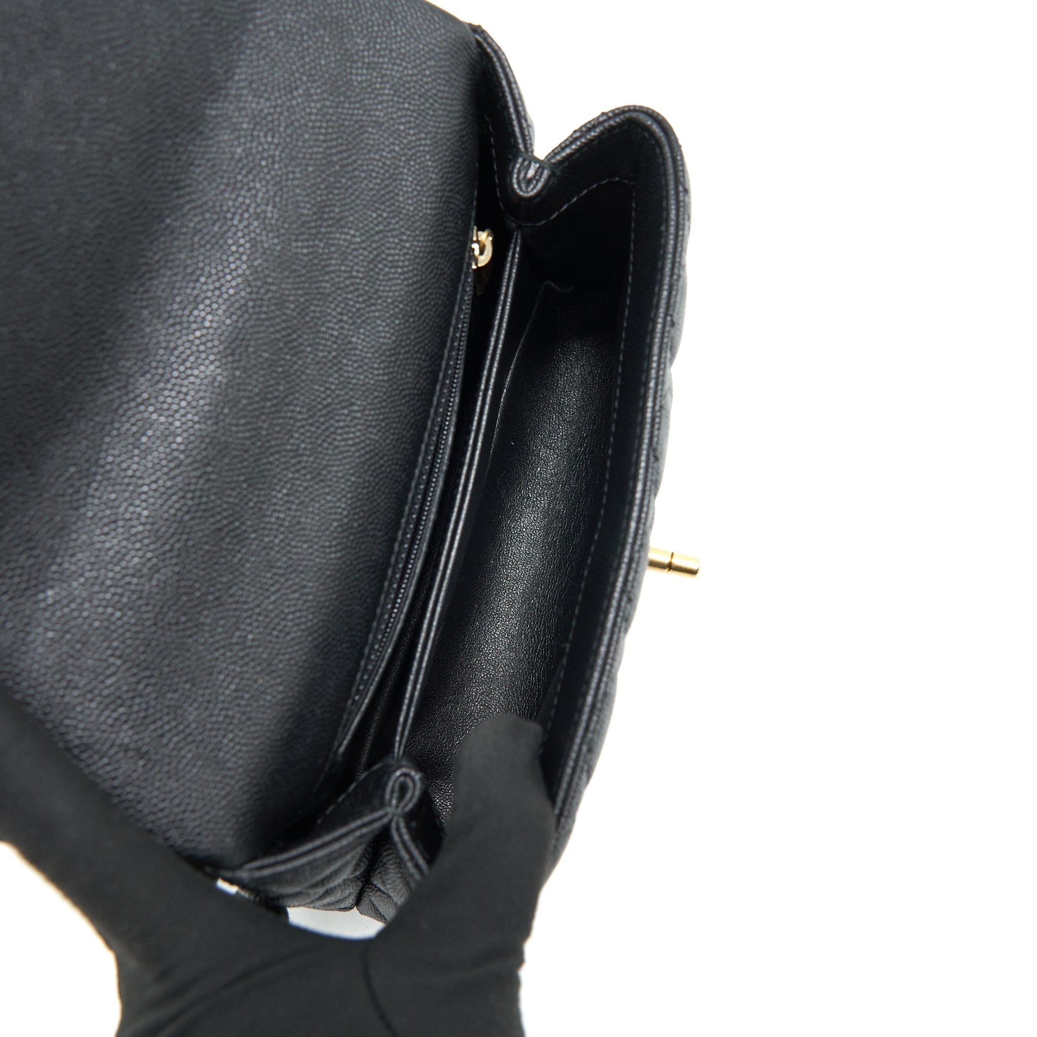 chanel-mini-coco-handle-caviar-leather-with-python-handle-black-ghw